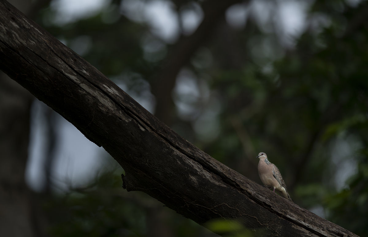 浙产优秀纪录片作品库展播的播出效果包含收视情况、社会影响力、受众满意度等三百字左右