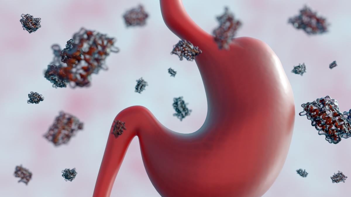 喝白酒胃不舒服怎么办