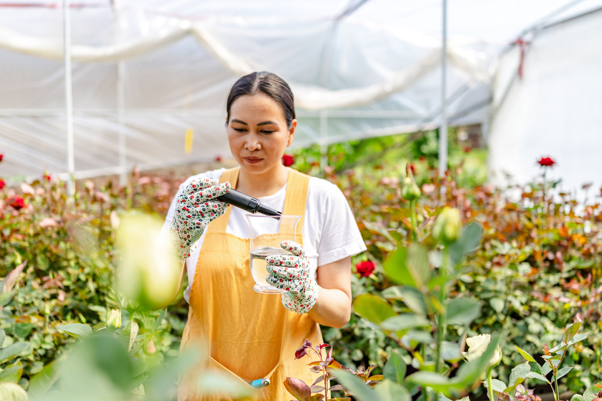 永德村荔枝花海的三产融合与智慧农业发展