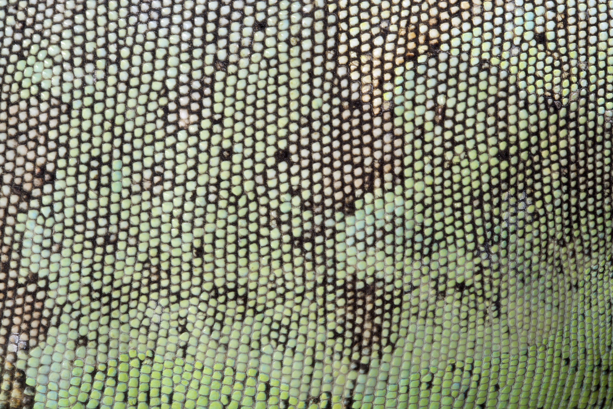 成都师范学院专业设置：教育学特色与多元选择