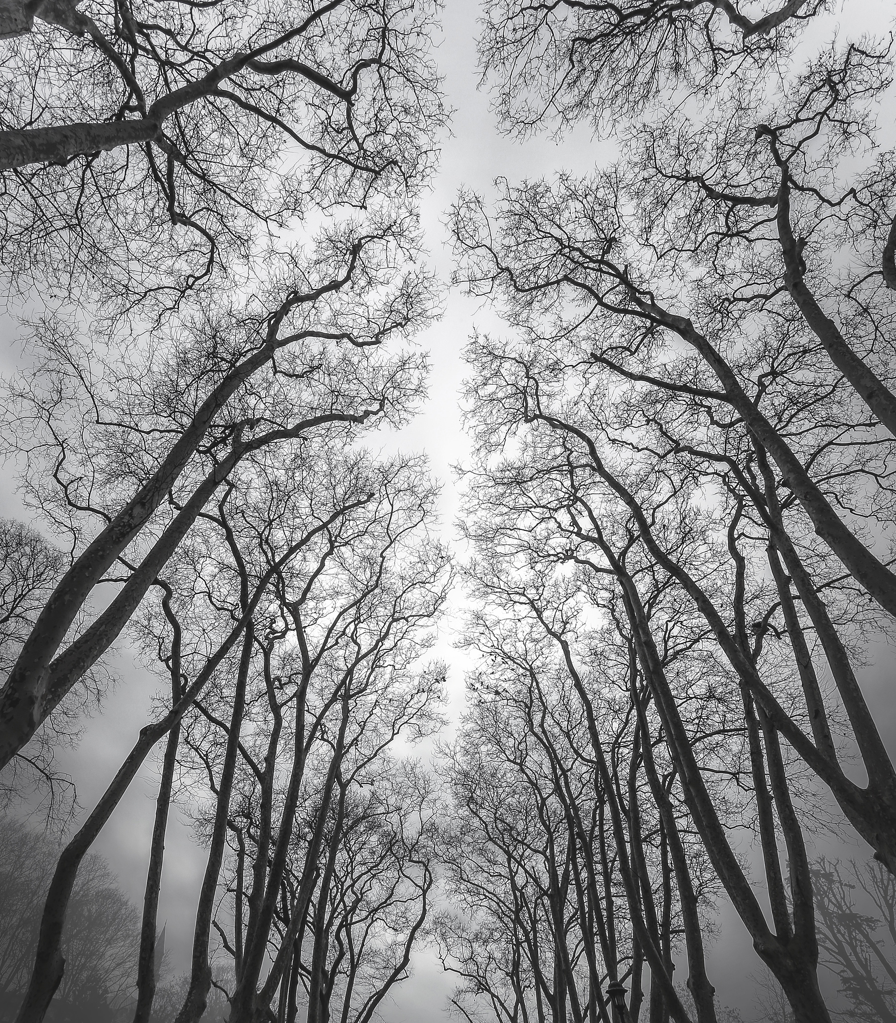 四季抒情诗：春夏秋冬的美丽与感动