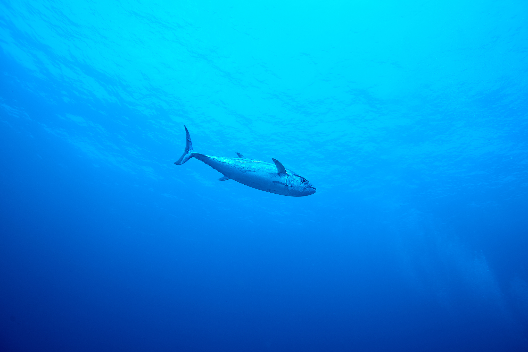underwater