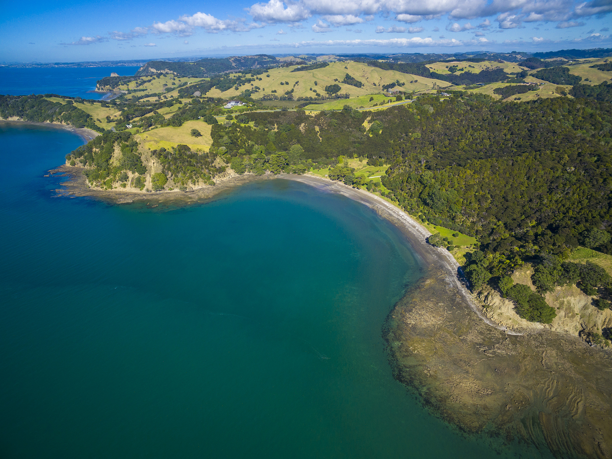 He determined experimentally that seeds of land plants were able to survive prolonged immersion in salt water from which he could argue how far a viable seed might be transported by ocean currents He