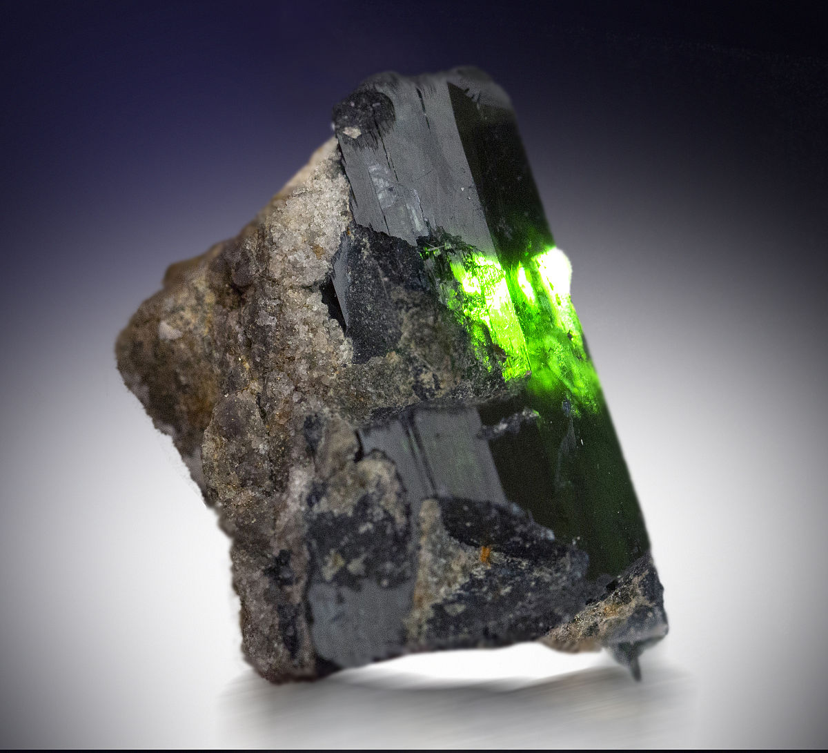 地质类实习周报