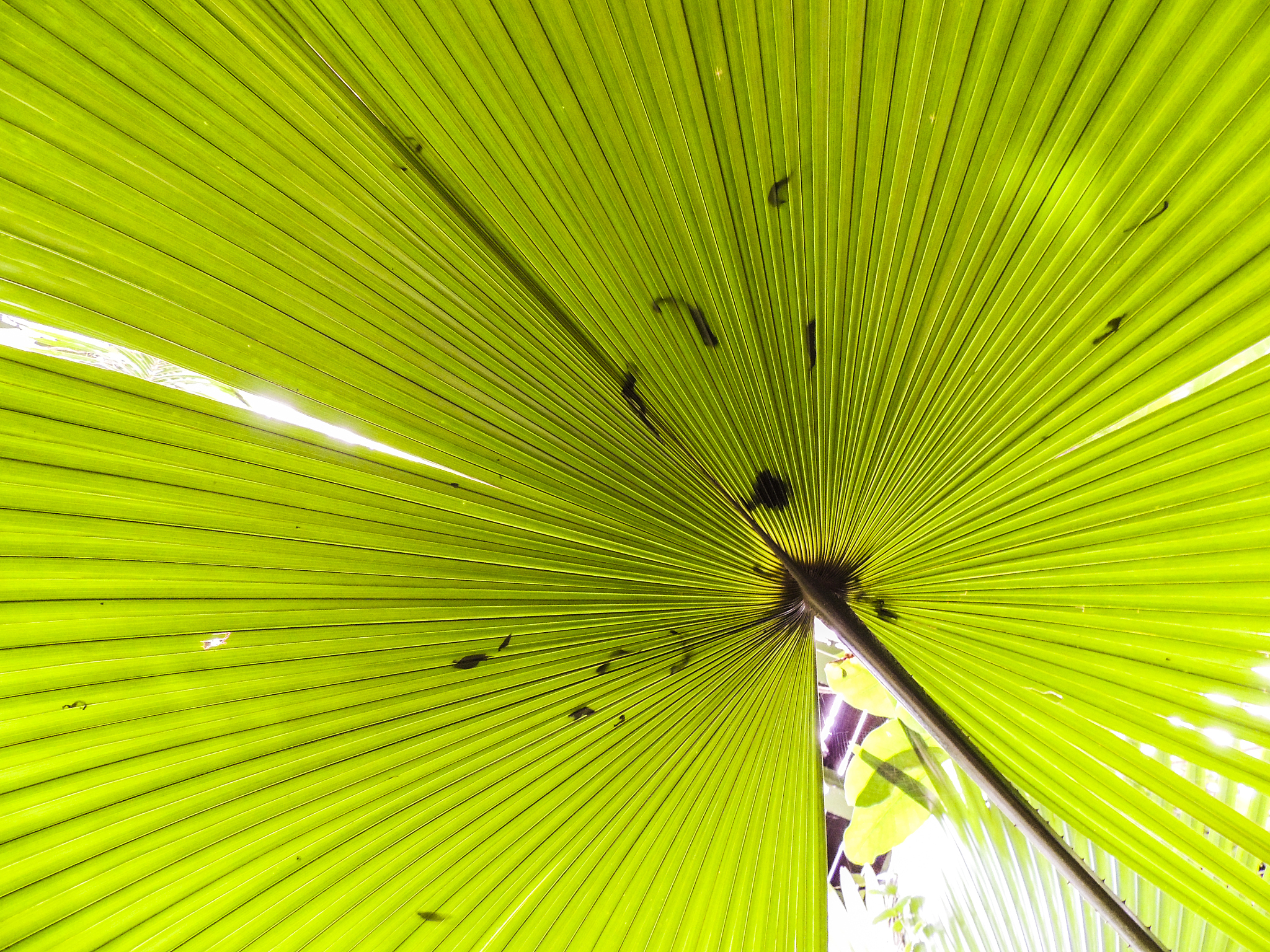 阳光的两种用途：自然与文化