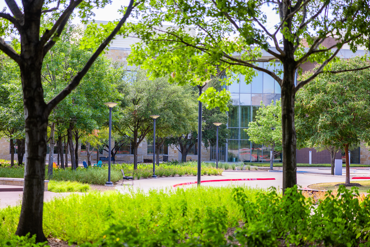 沈阳工学院风景园林专业课程