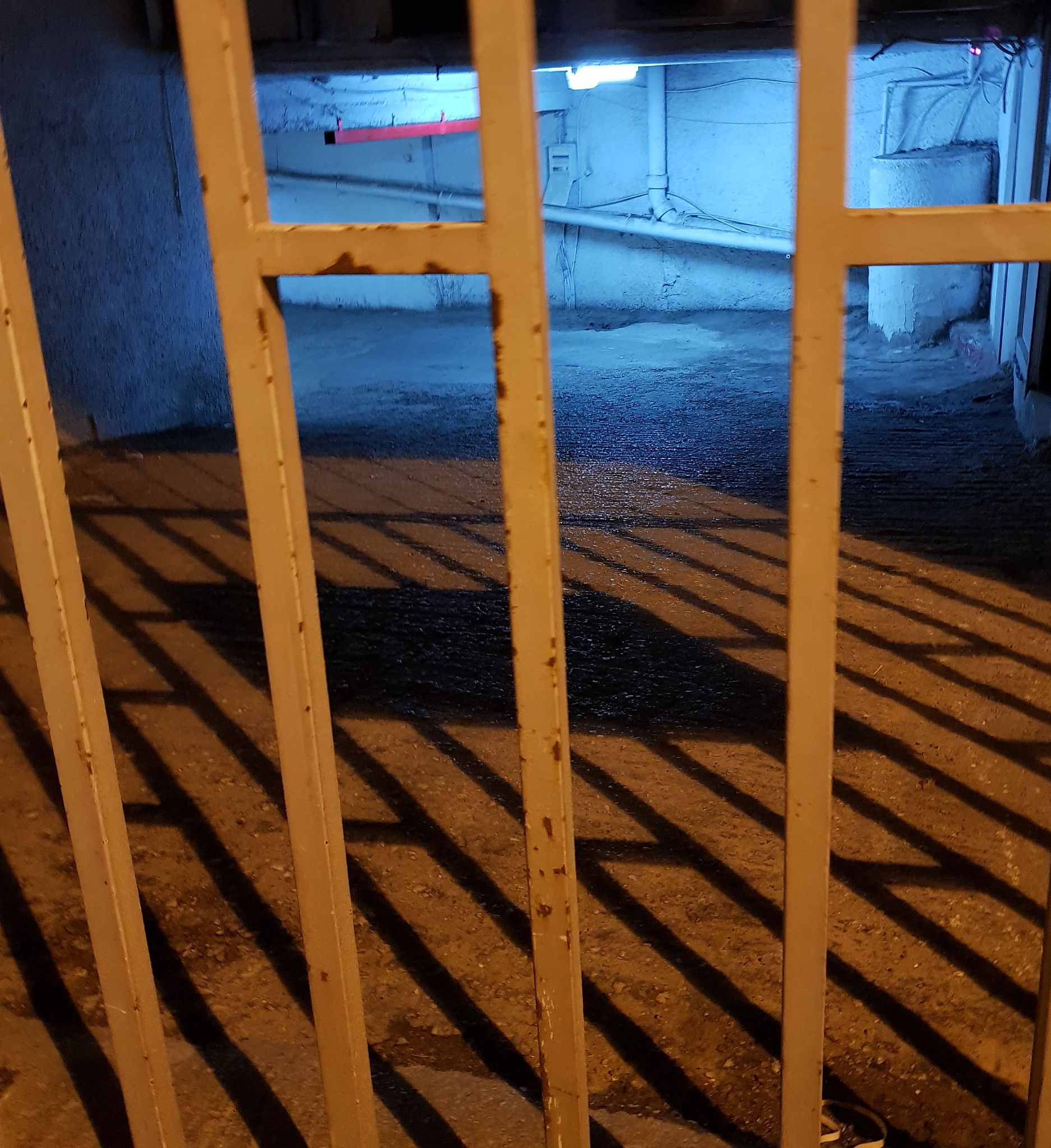 现在你是一位高深的文学家以及分析学家让你一篇不少于2000字的论文肯定不在话下