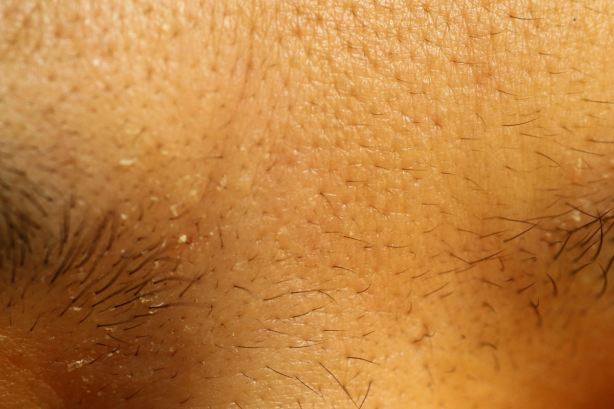 网易版mc的主页有那四大模块