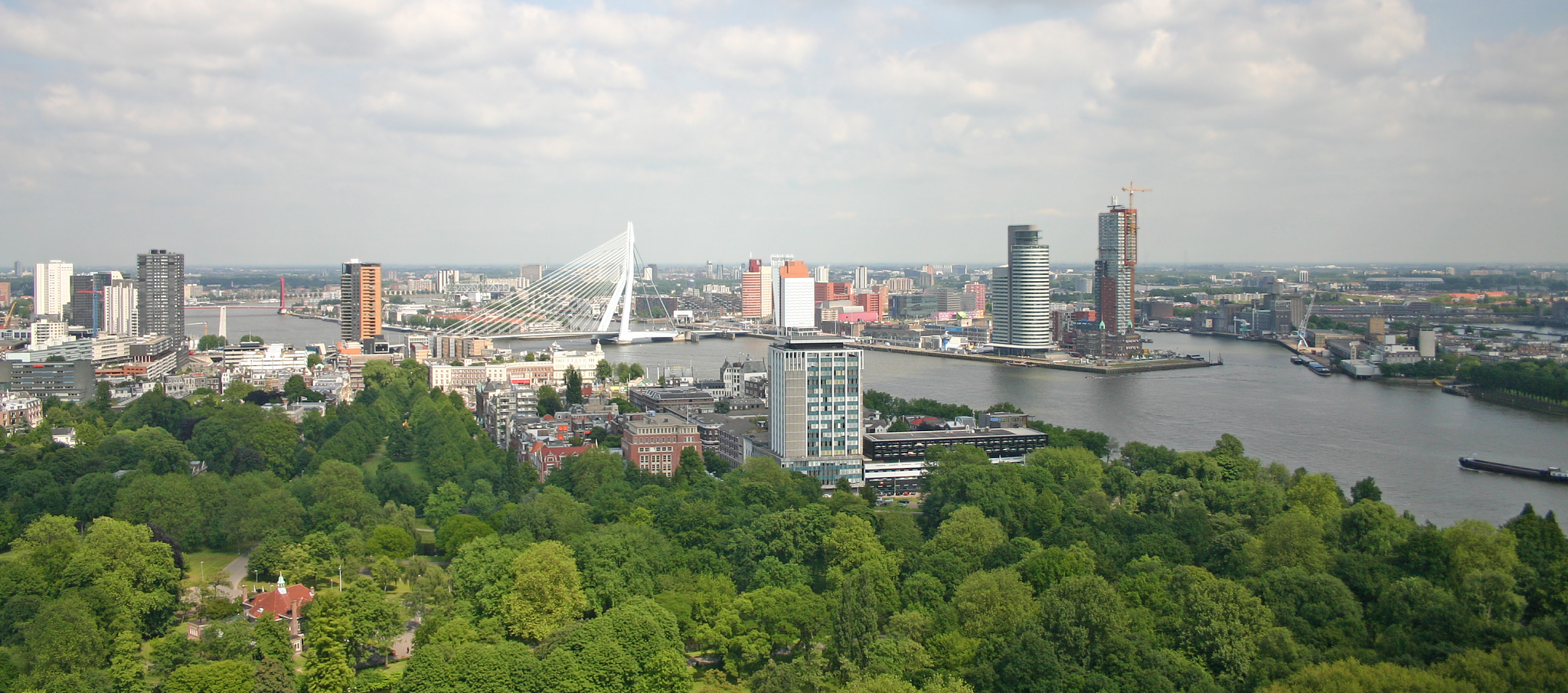 skyline of rotterdam (the netherlands)