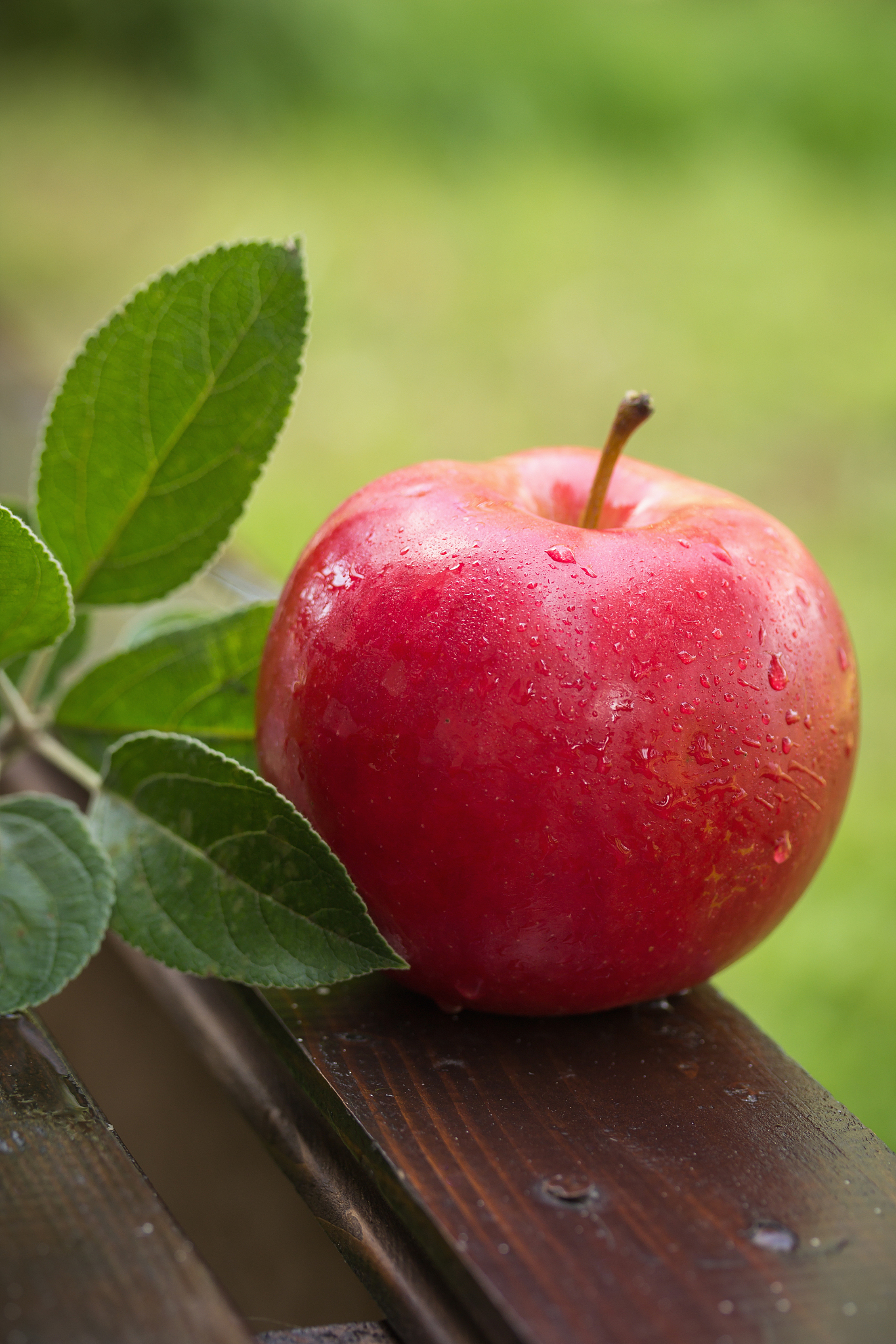 red apple