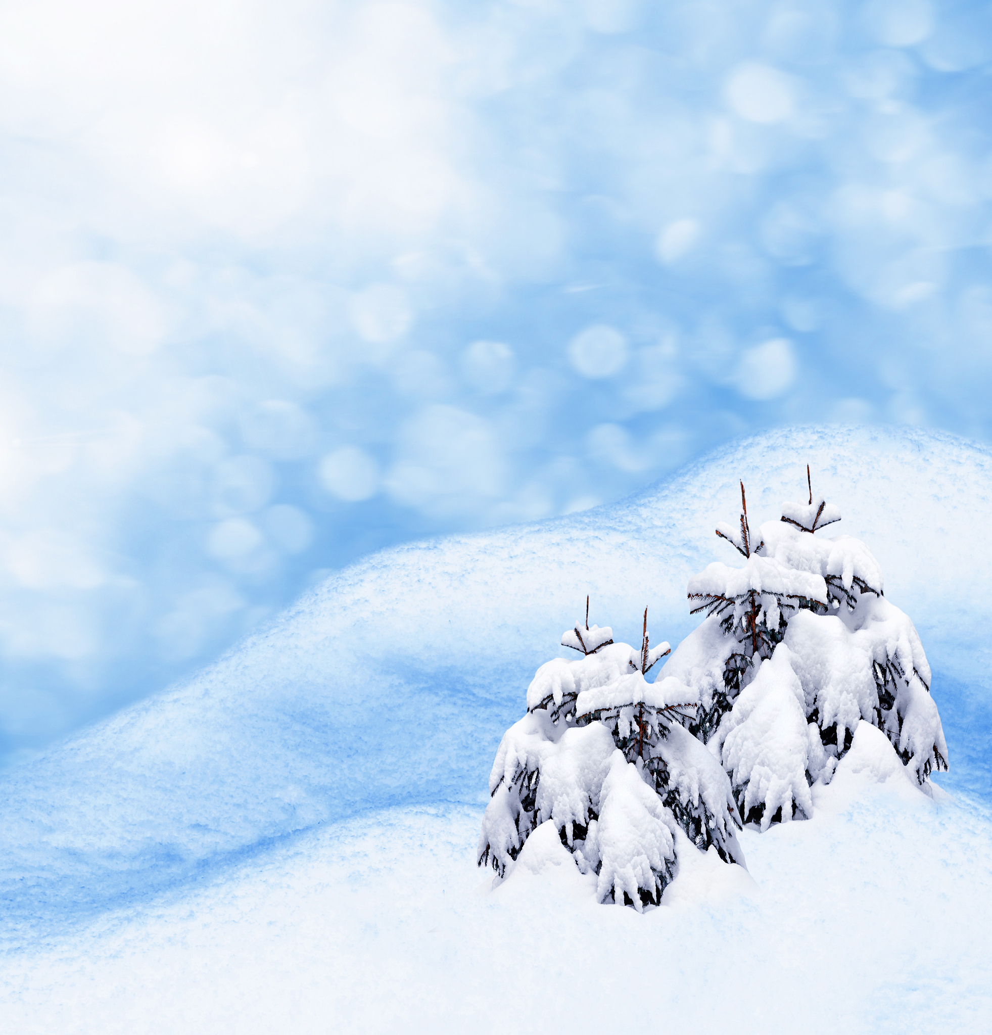 请描写一下大雪的画面