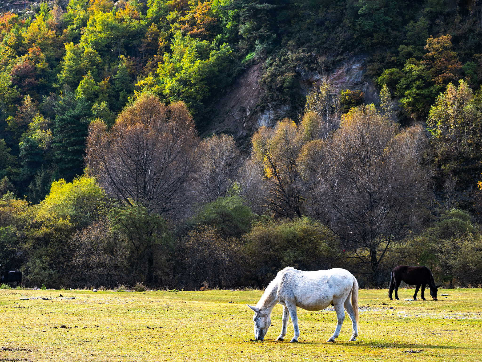 甘南航空职教中心民航运输专科专业介绍