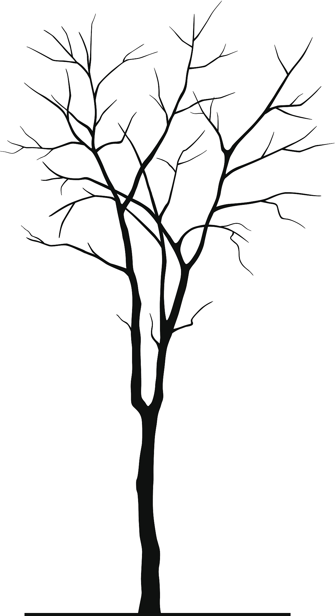 如何快速找到树林中最高的树 - 寻找最大值问题