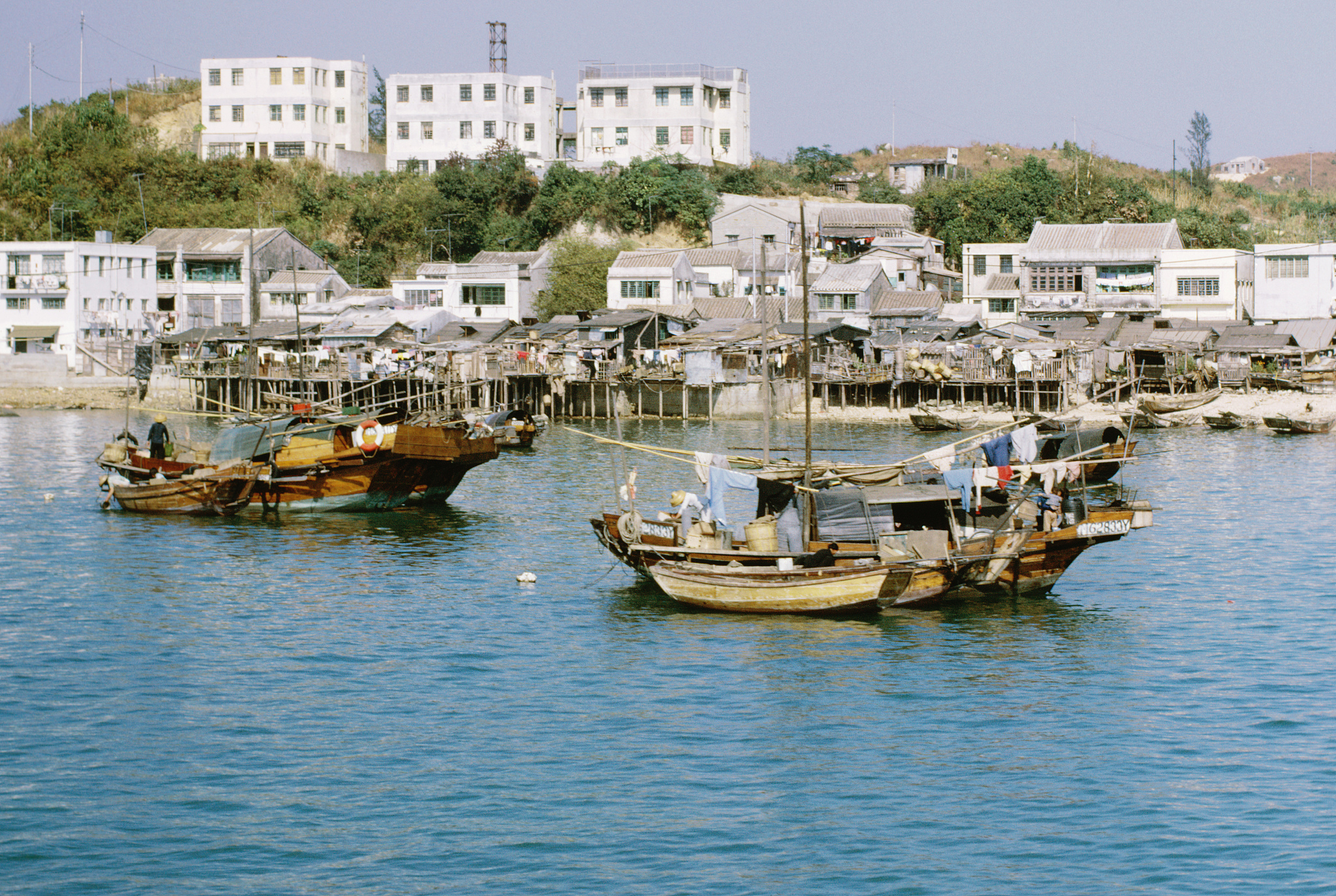 boats in water by houses on shore, hong kong