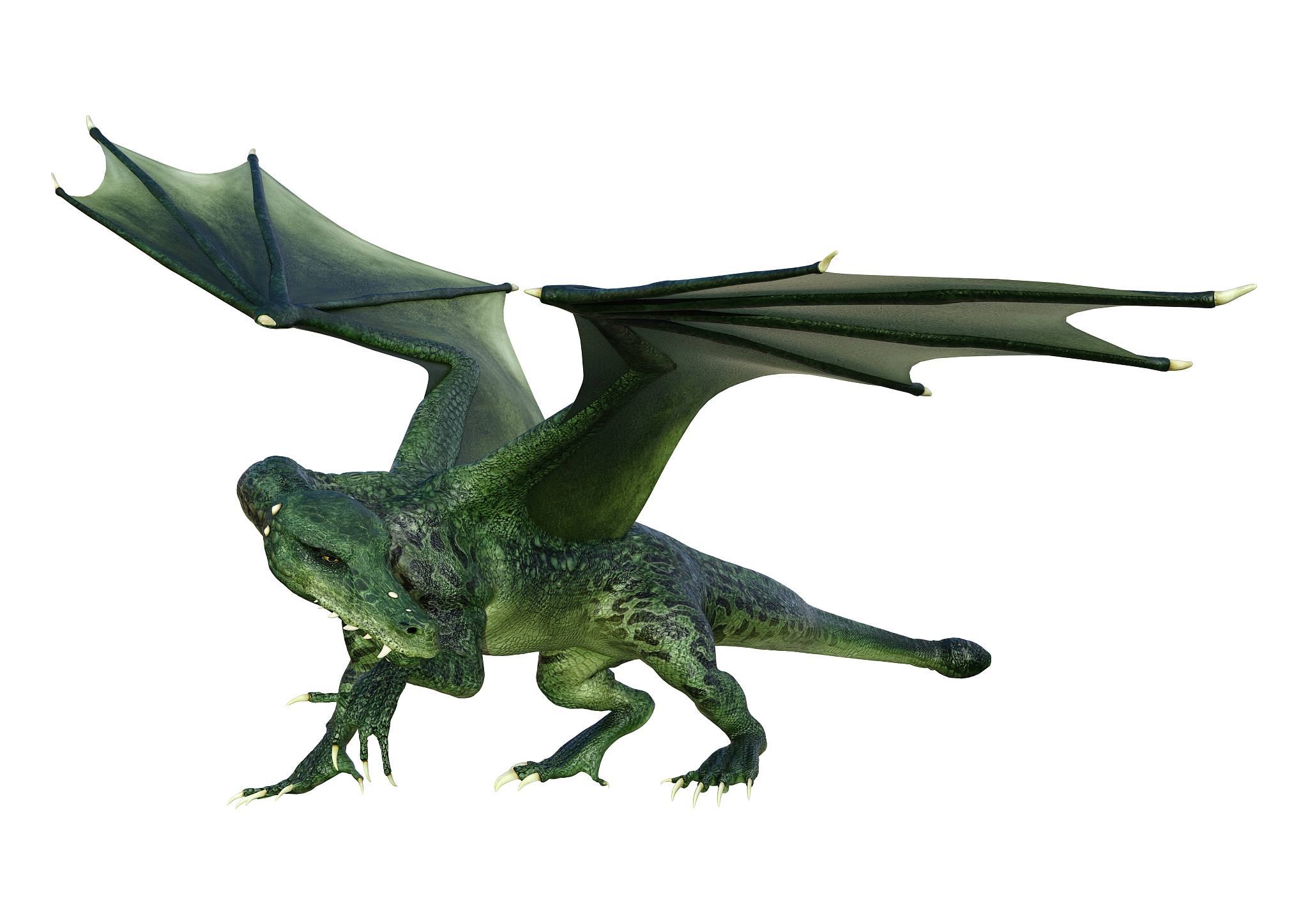 3d illustration fantasy dragon on white