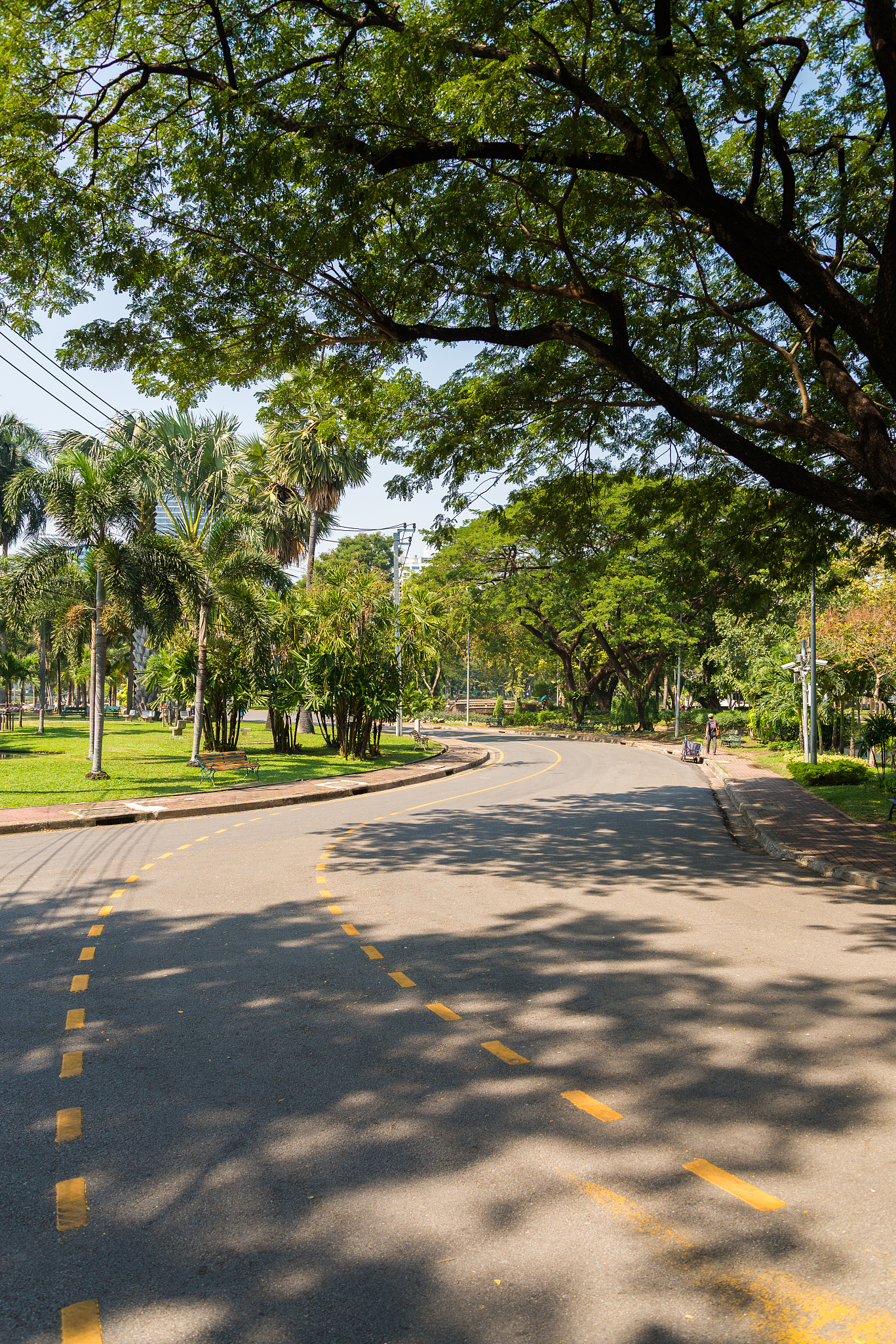 阜新高等专科学校园林技术专业就业前景如何