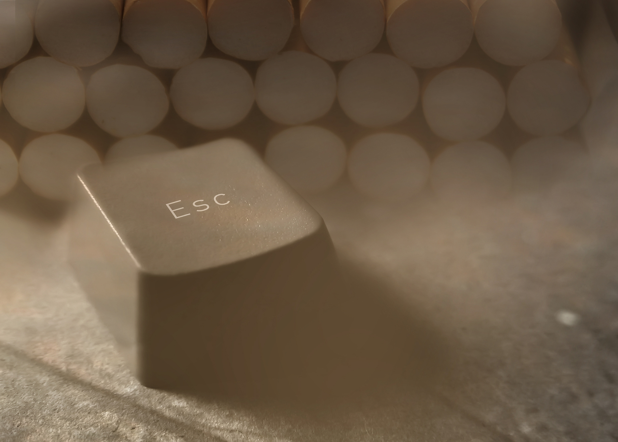 卷烟经营经验分享：从客户关系到盈利模式，如何与烟草公司合作并利用收银机提升效率