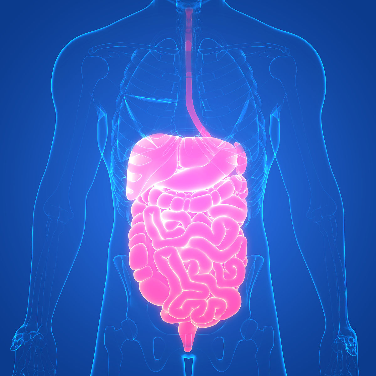 2022年遵义卫生学校口腔医学专业招生