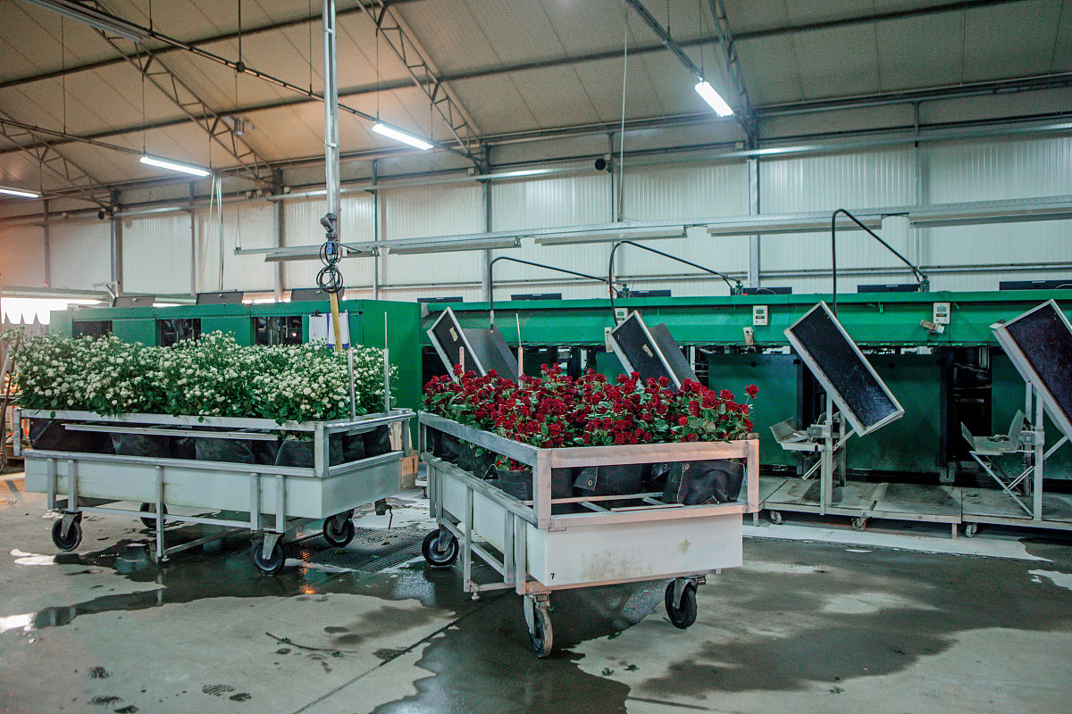 请翻译工厂有2个皂脚灌每次等满了就会招标销售并在汽车运输时进行计量