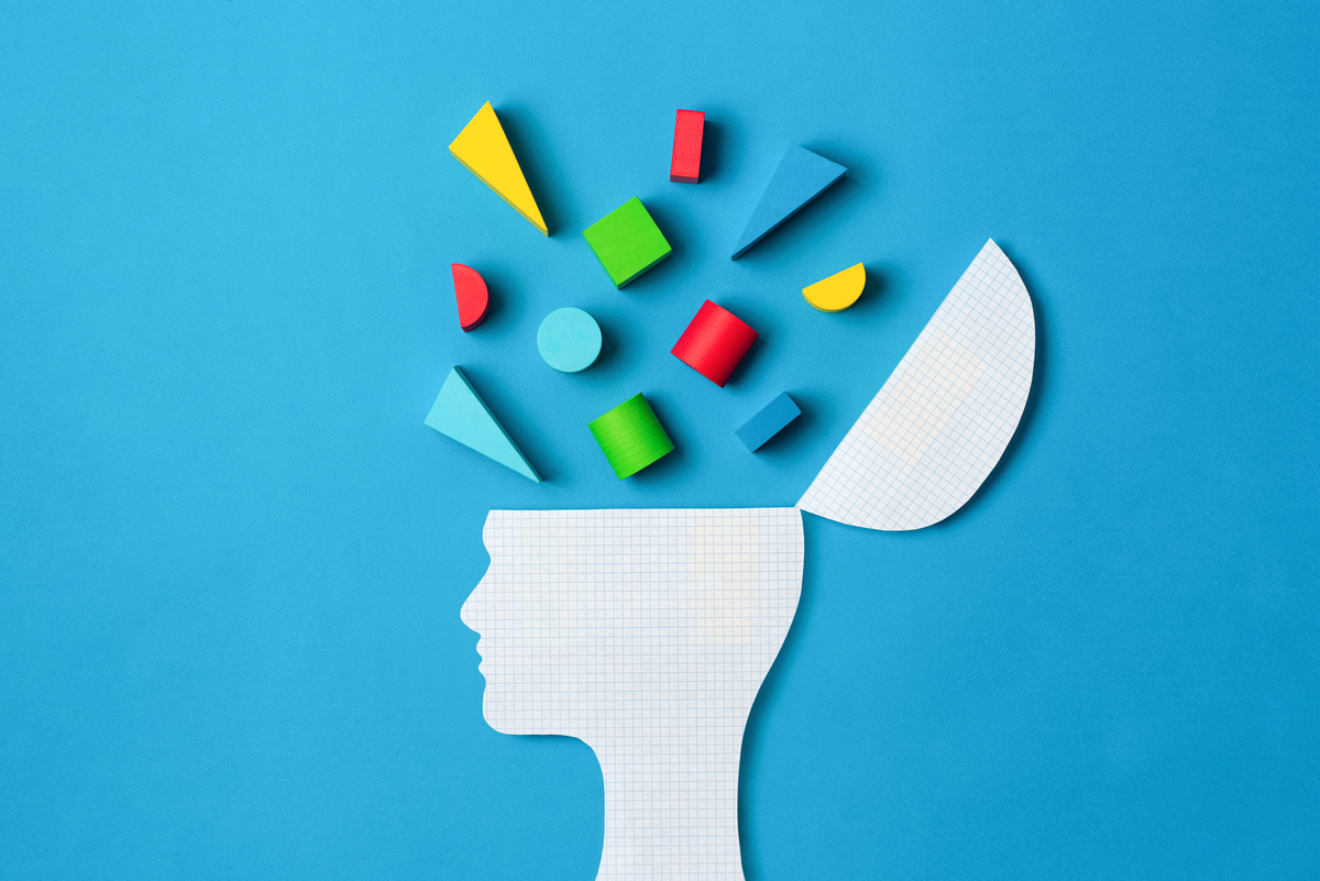 思表示：智力、文化和环境的影响