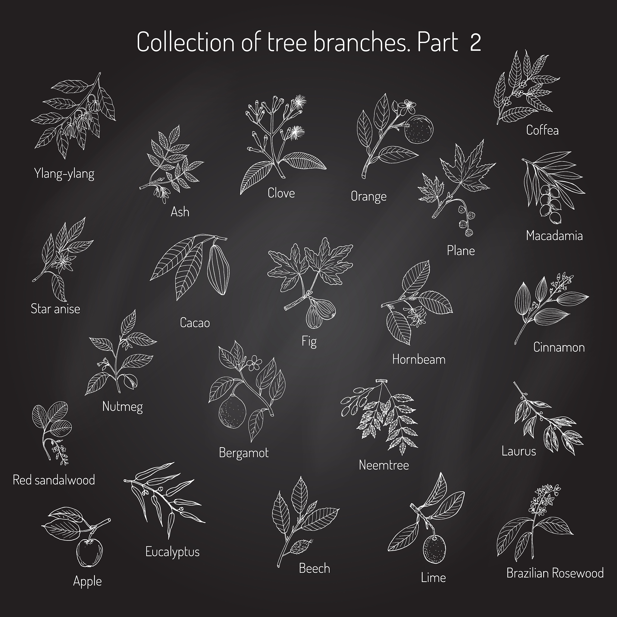 结合连锁聚合你觉得什么样的单体可以体型什么样的单体面型什么样的单体线型什么样的单体极其稳定？