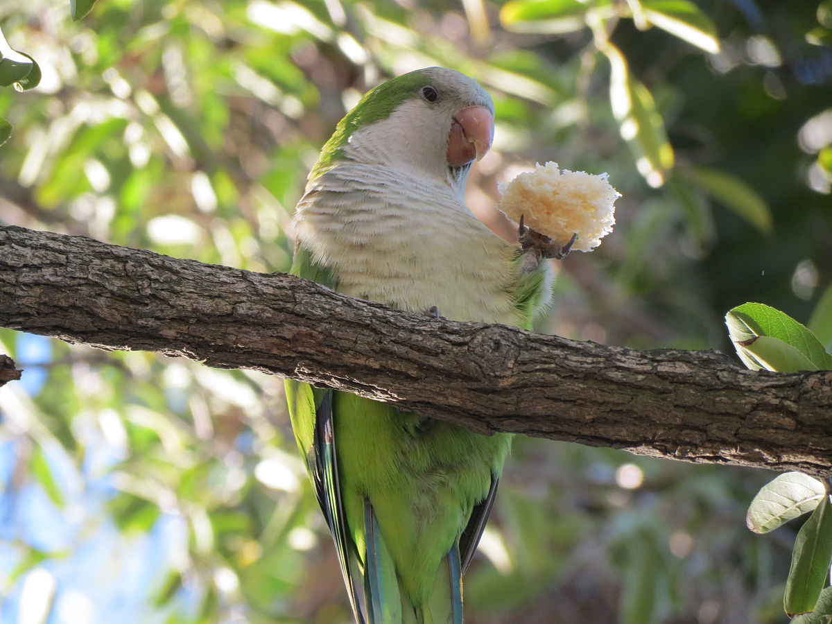 幻塔有哪些角色