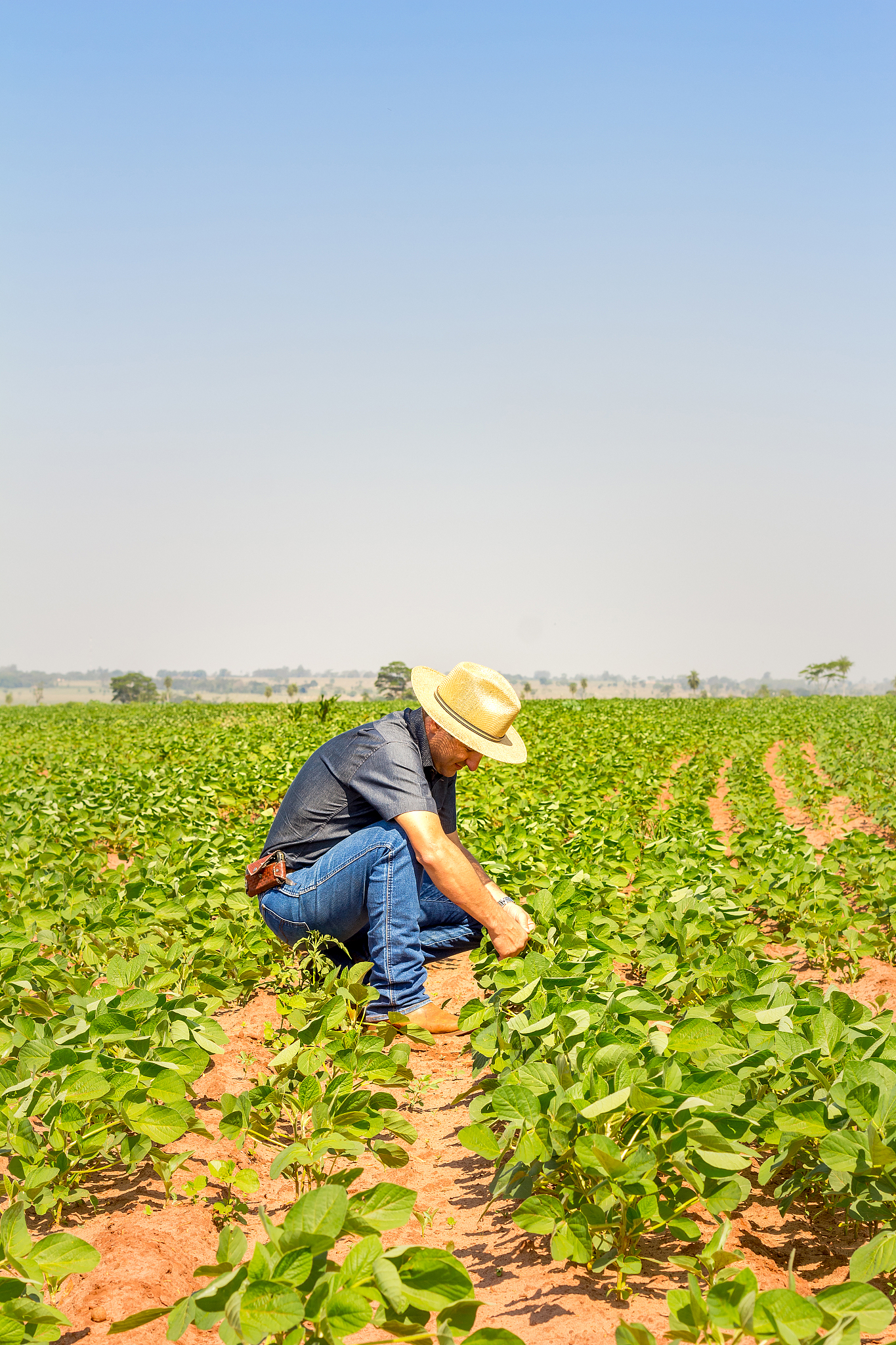 绵阳农业计算机学校农业专业：特色与优势