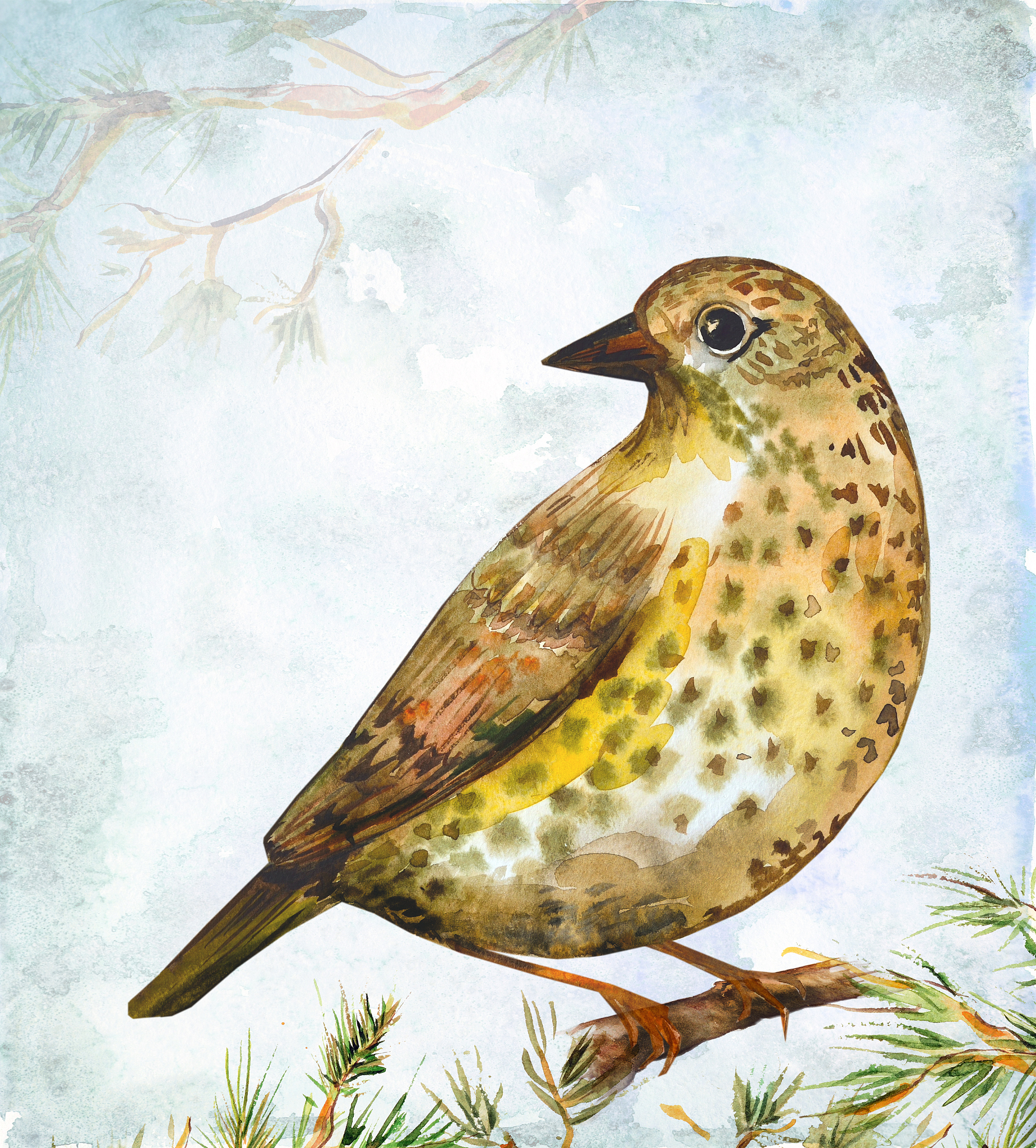 帮我找一幅有鸟在里面的画