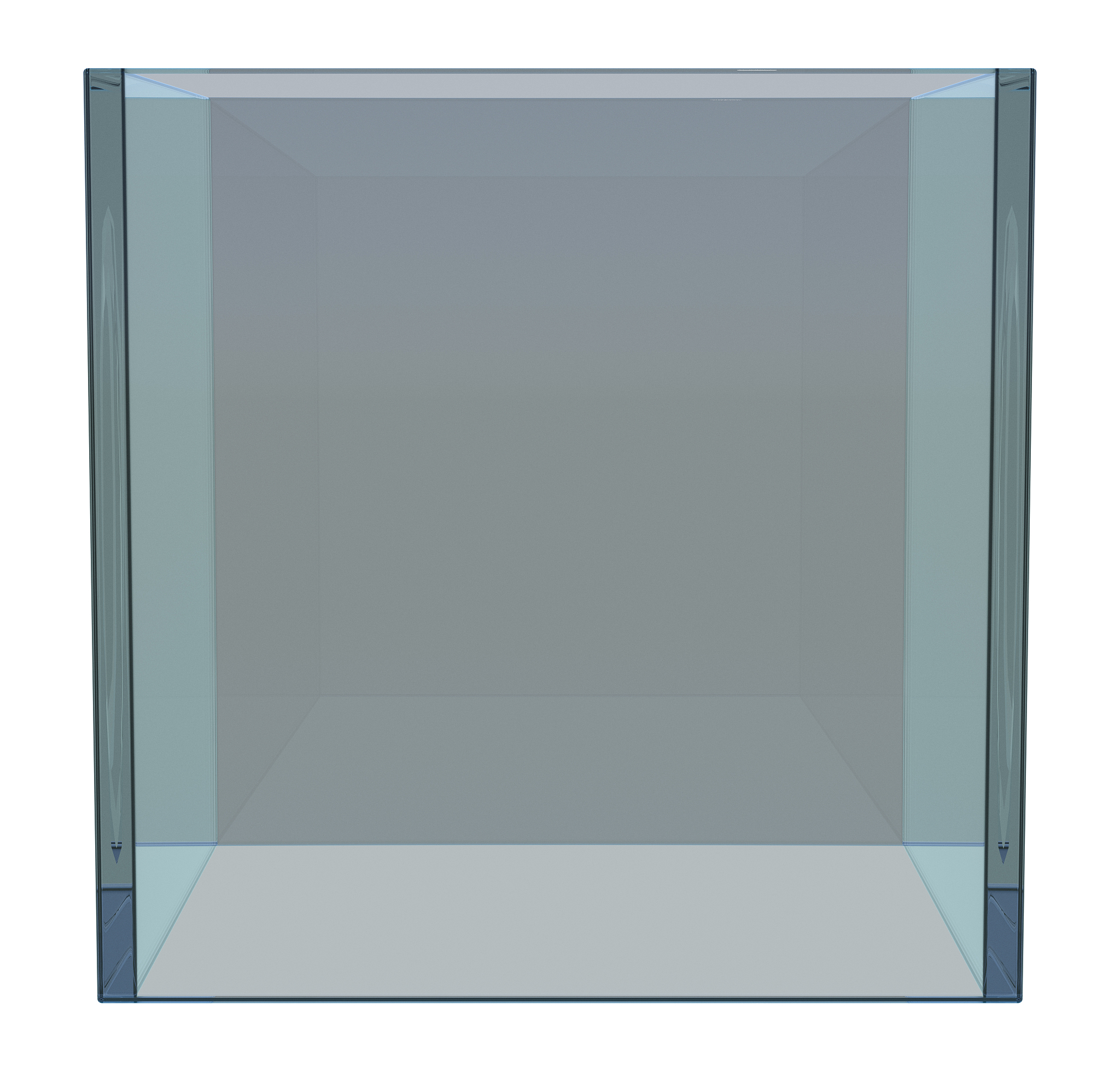 empty gl<strong>a</strong>ss showcase
