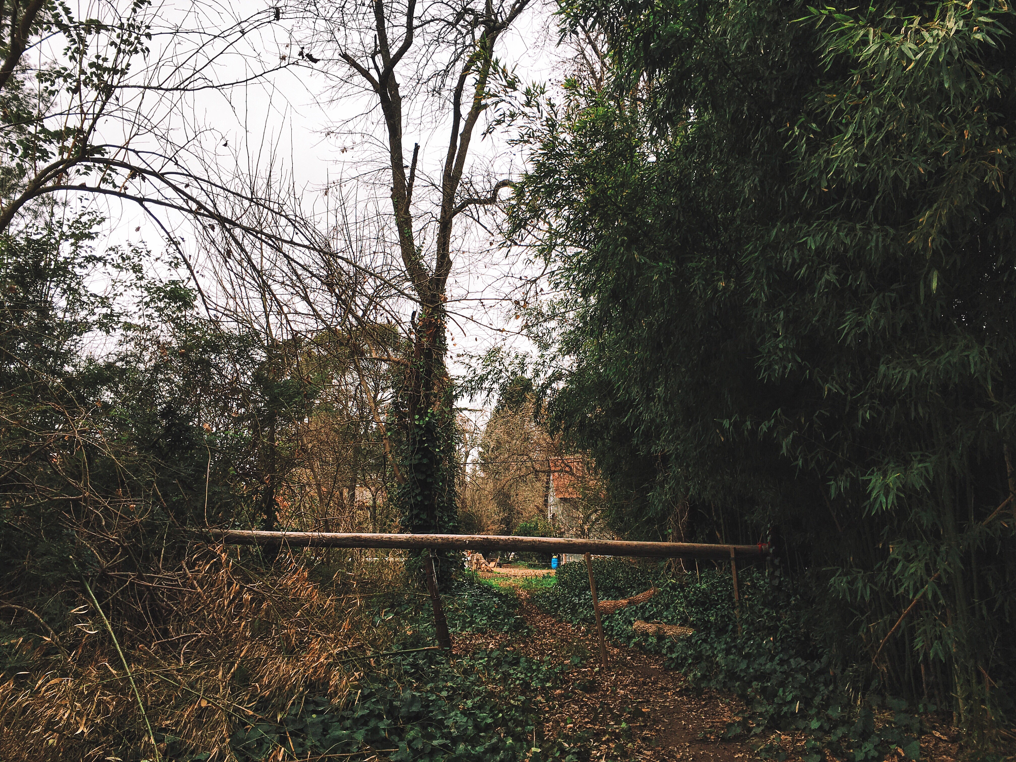 Kina: Platser och regioner med flest gropar