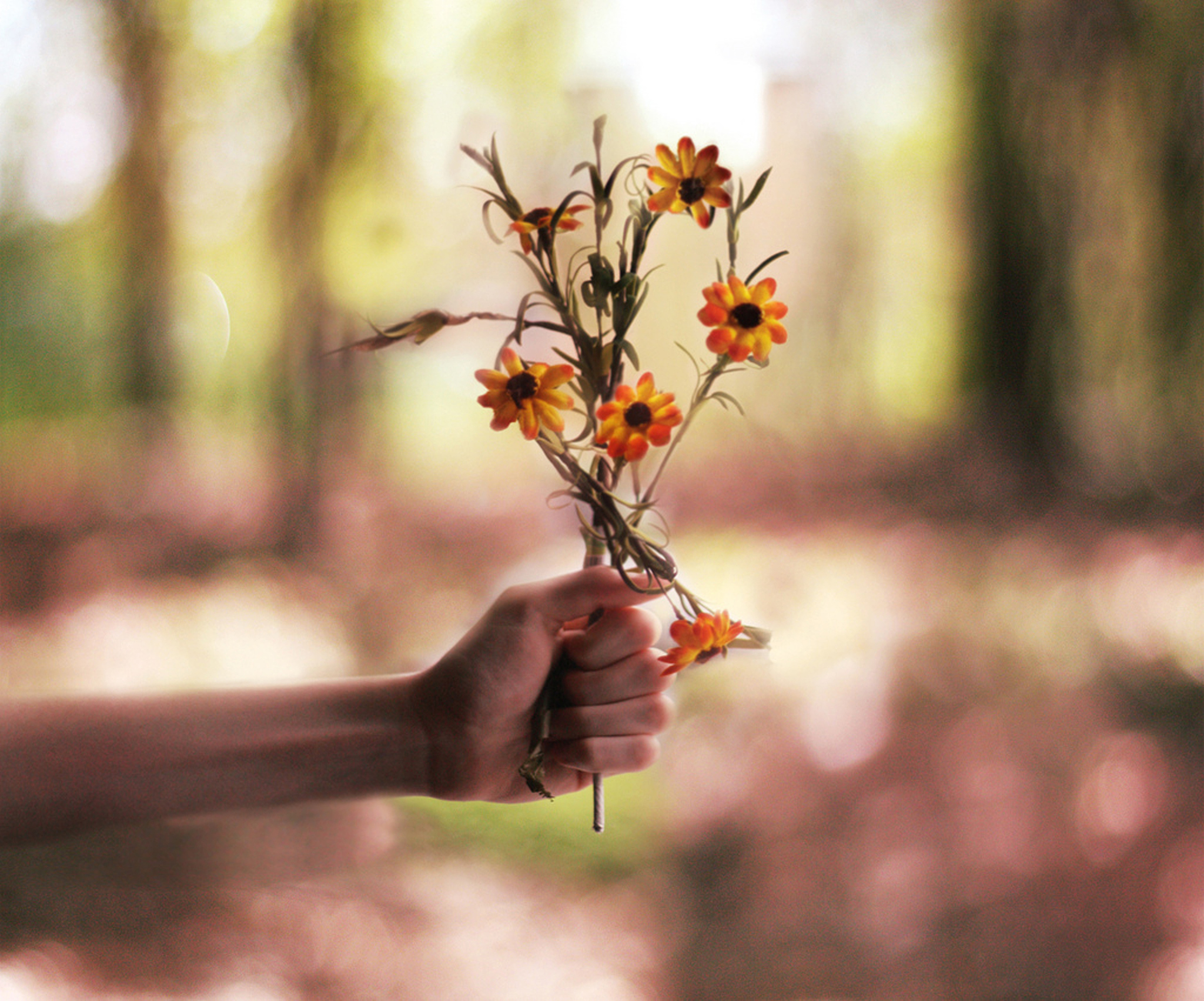 慢下来，感受生活的美好和珍贵