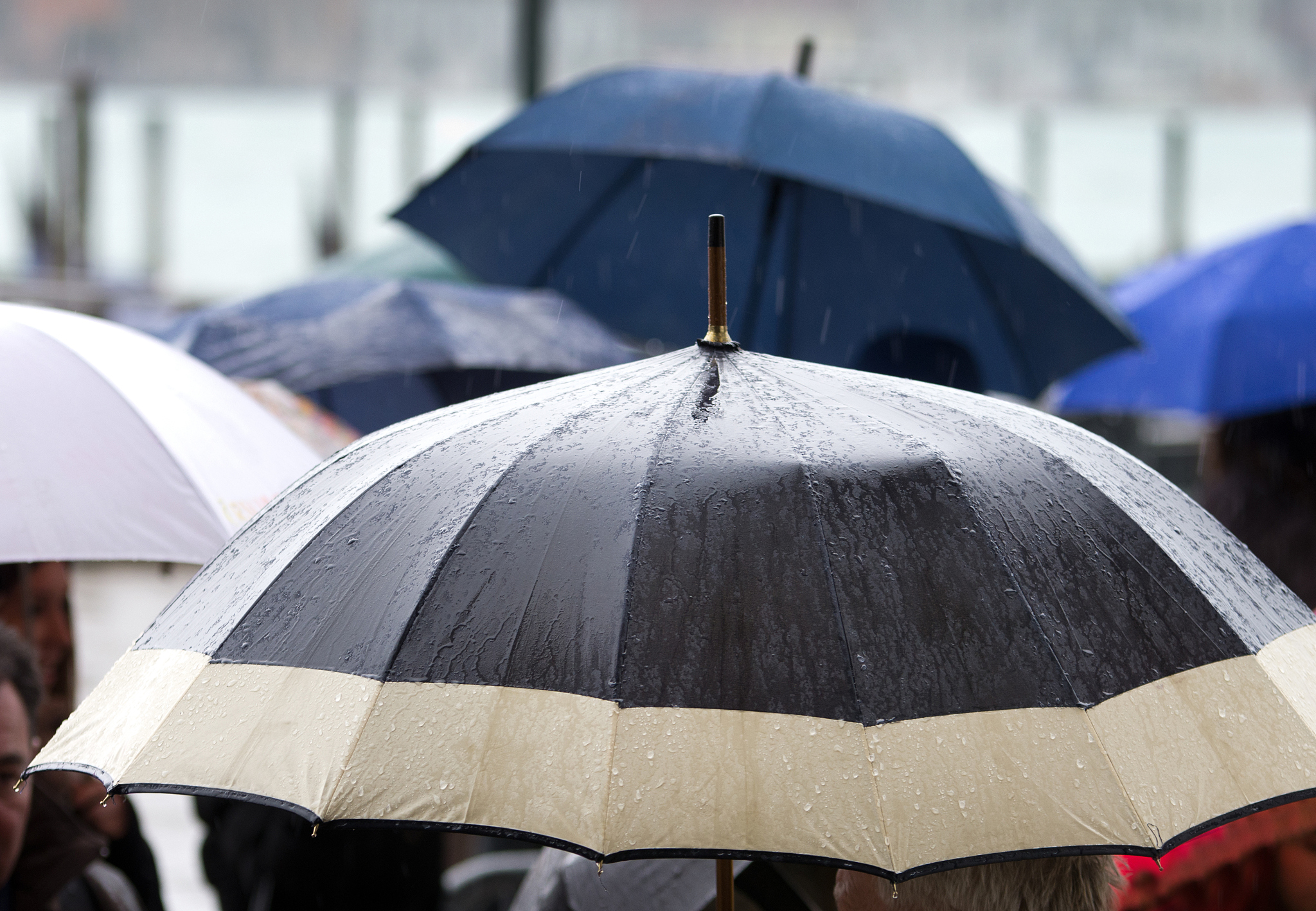 wet umbrellas