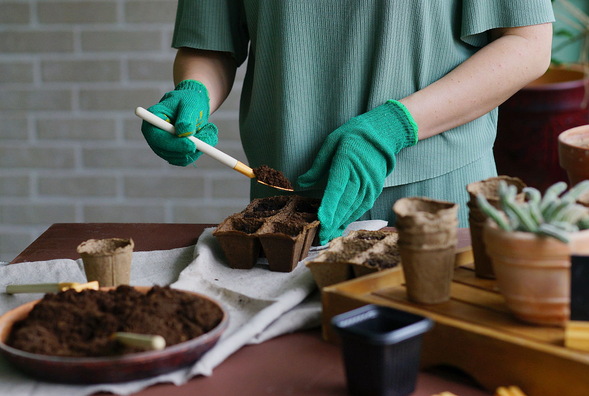 绍兴园艺学校2023年地址在哪里