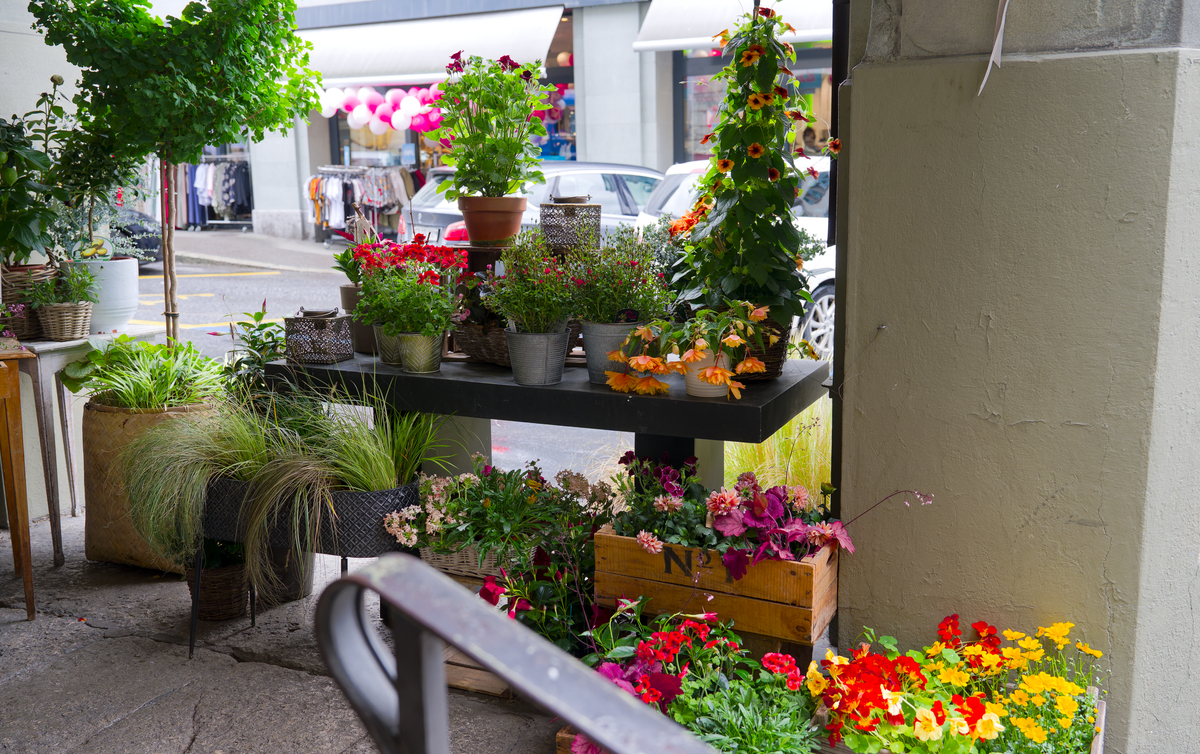 请帮我生成一个花店加咖啡店的计划