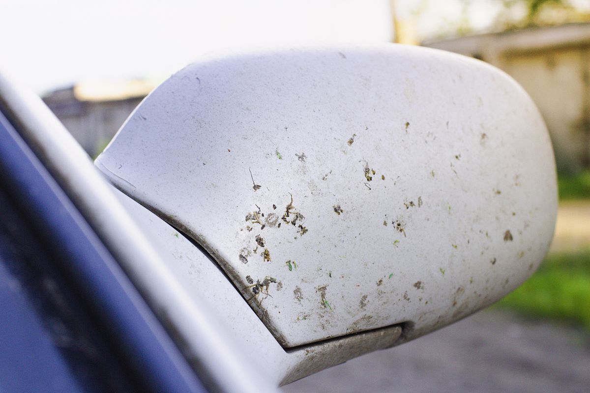 德朴保险：常见问题解答