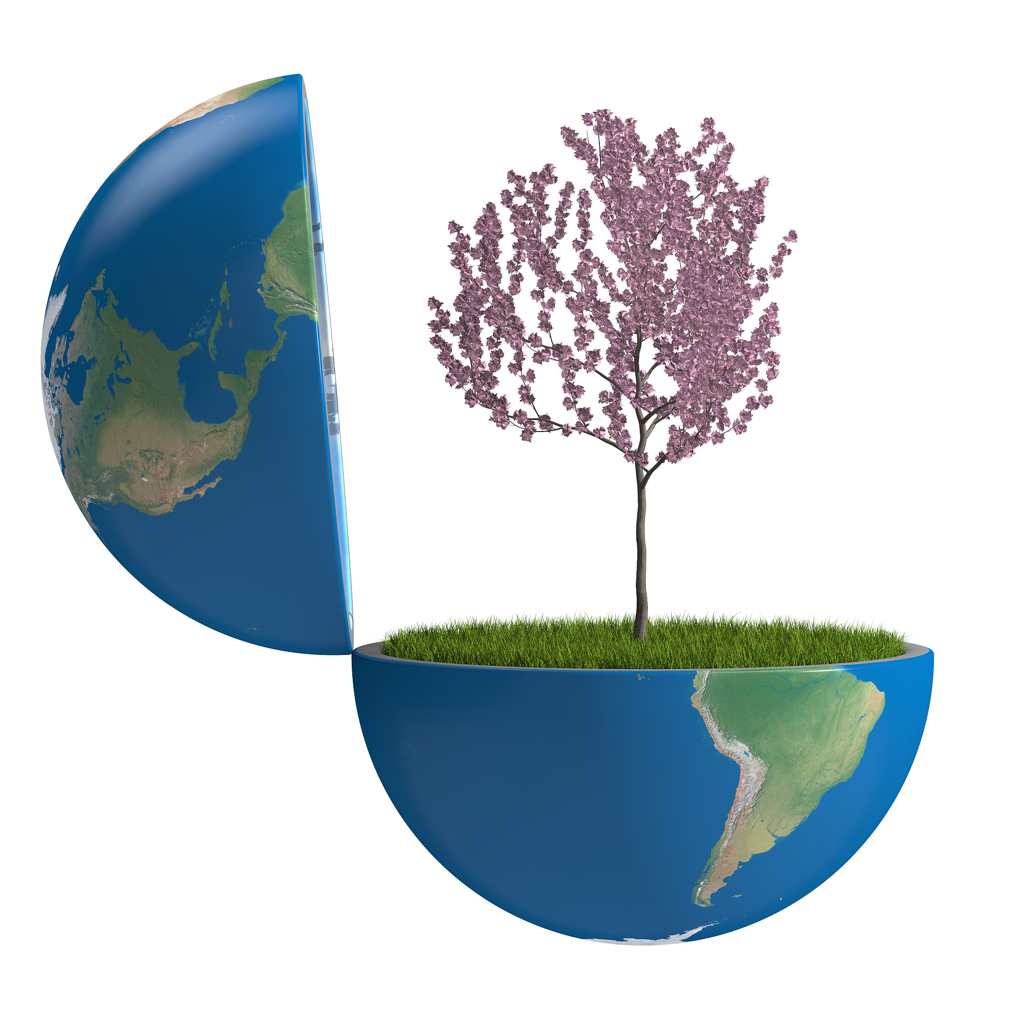 International Soil and Water Conservation Research: Scope, Manuscript Types & Peer Review