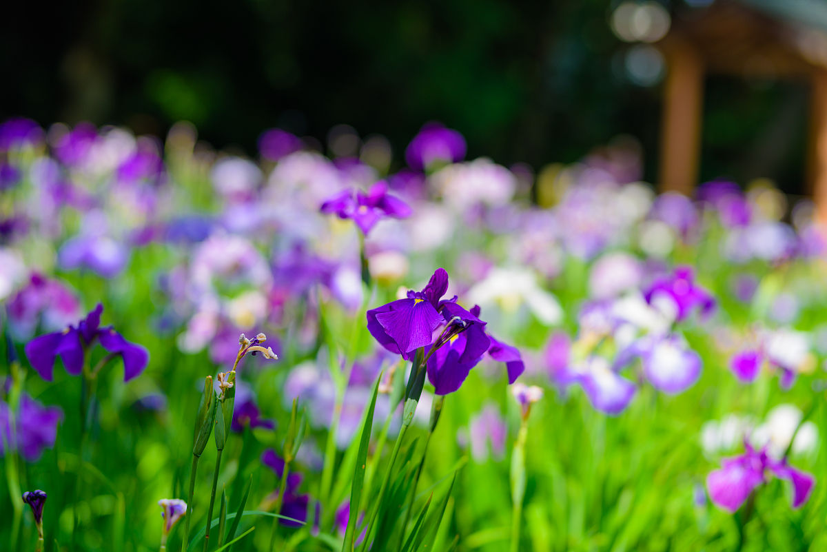 北京园林学校招生办地址介绍用