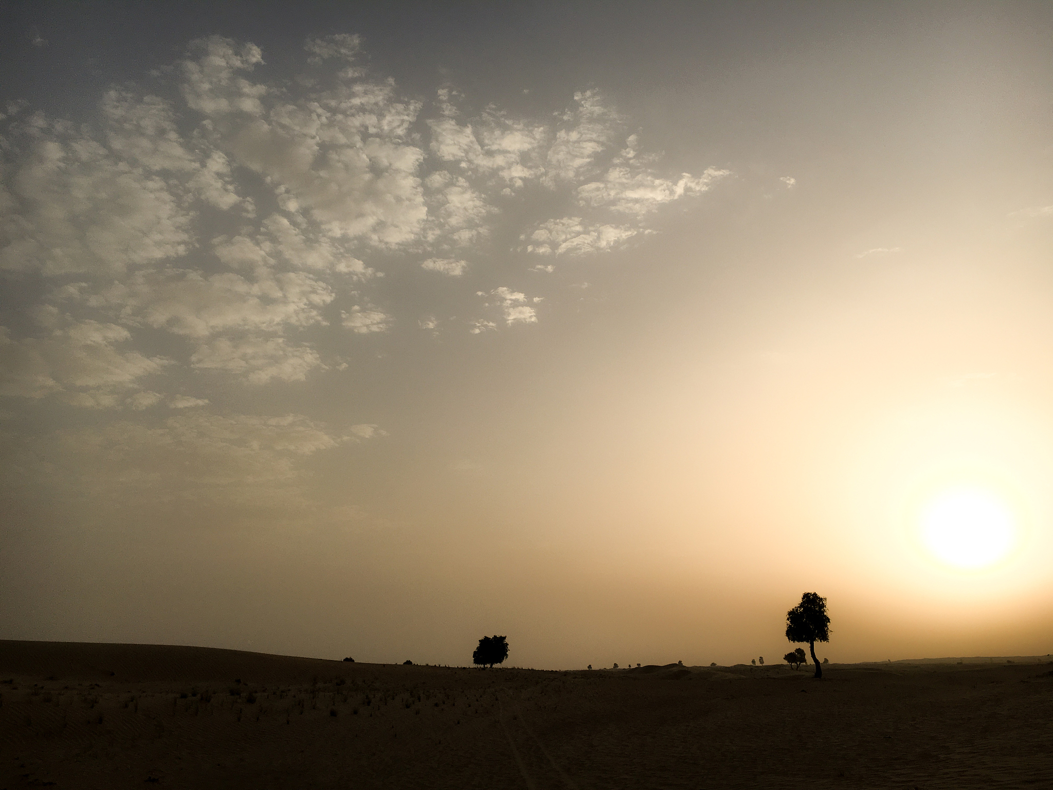 写一篇人物在沙漠夕阳下的情绪化的散文诗