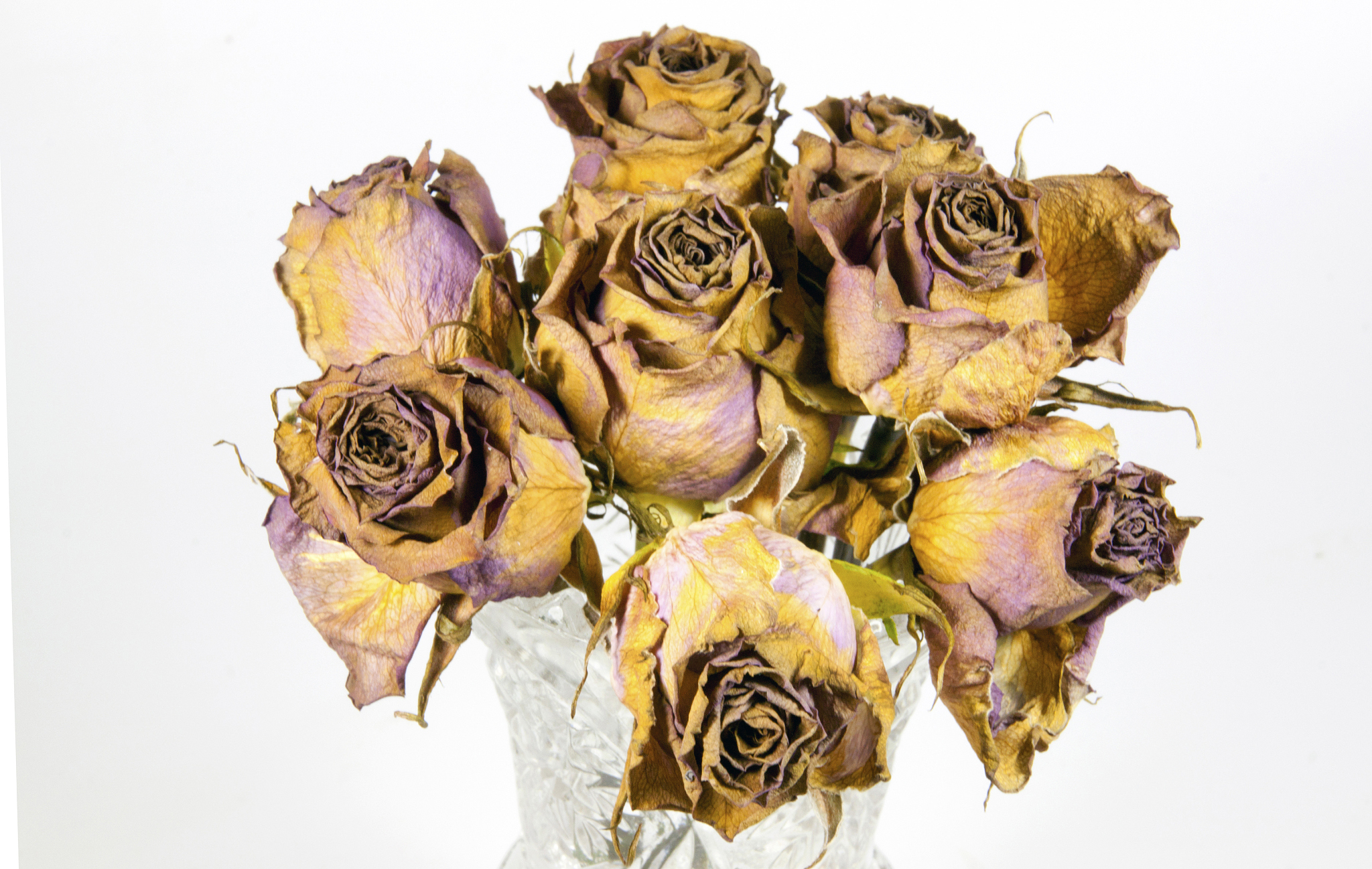 glass vase of eight dying mauve roses