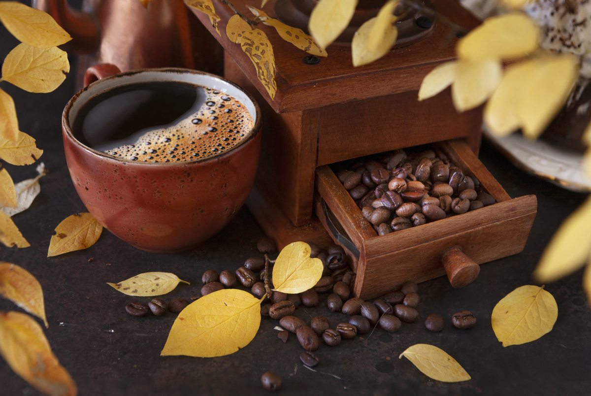 意式咖啡拼配豆为什么要用罗布斯塔豆