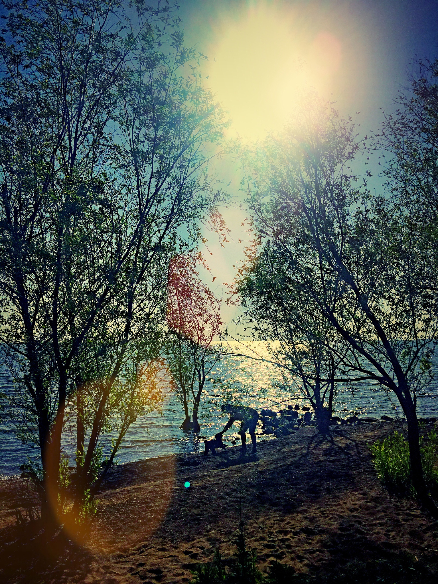 合肥求实科技学校2021年有哪些招生专业