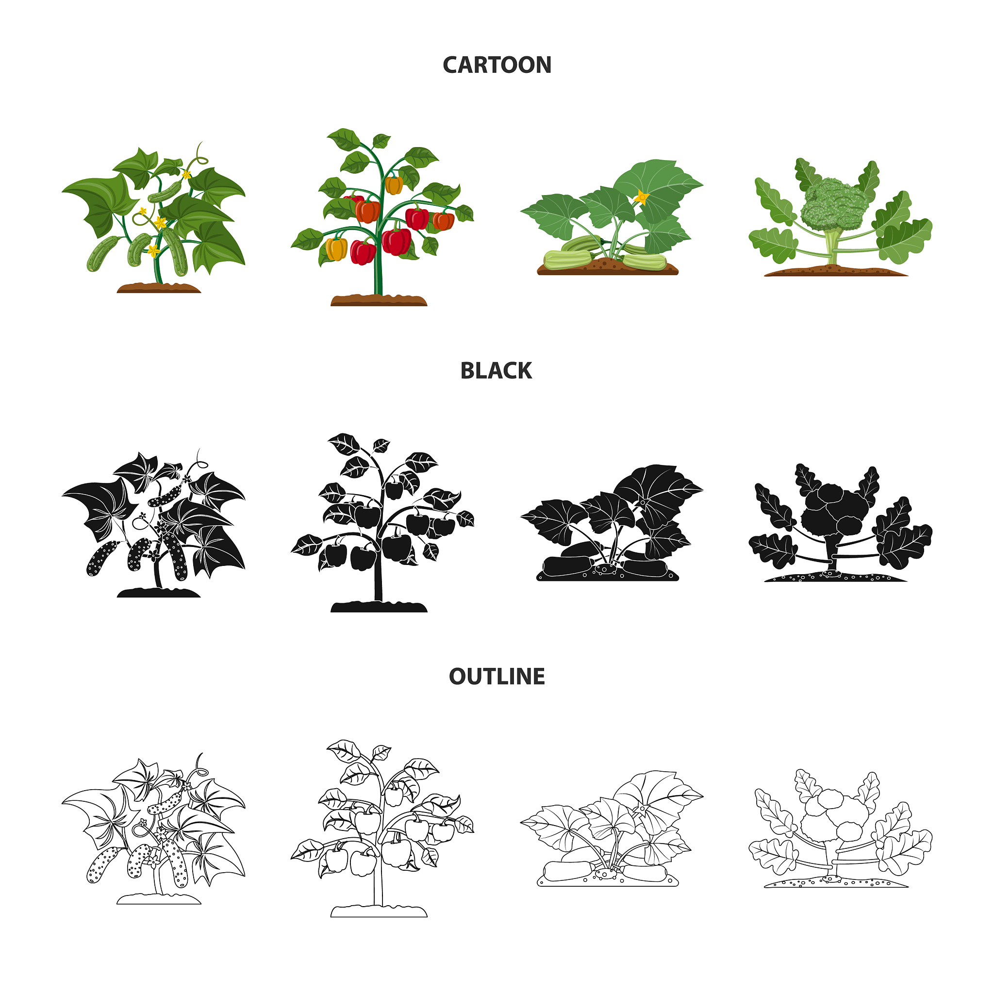 如何收集植物的数据