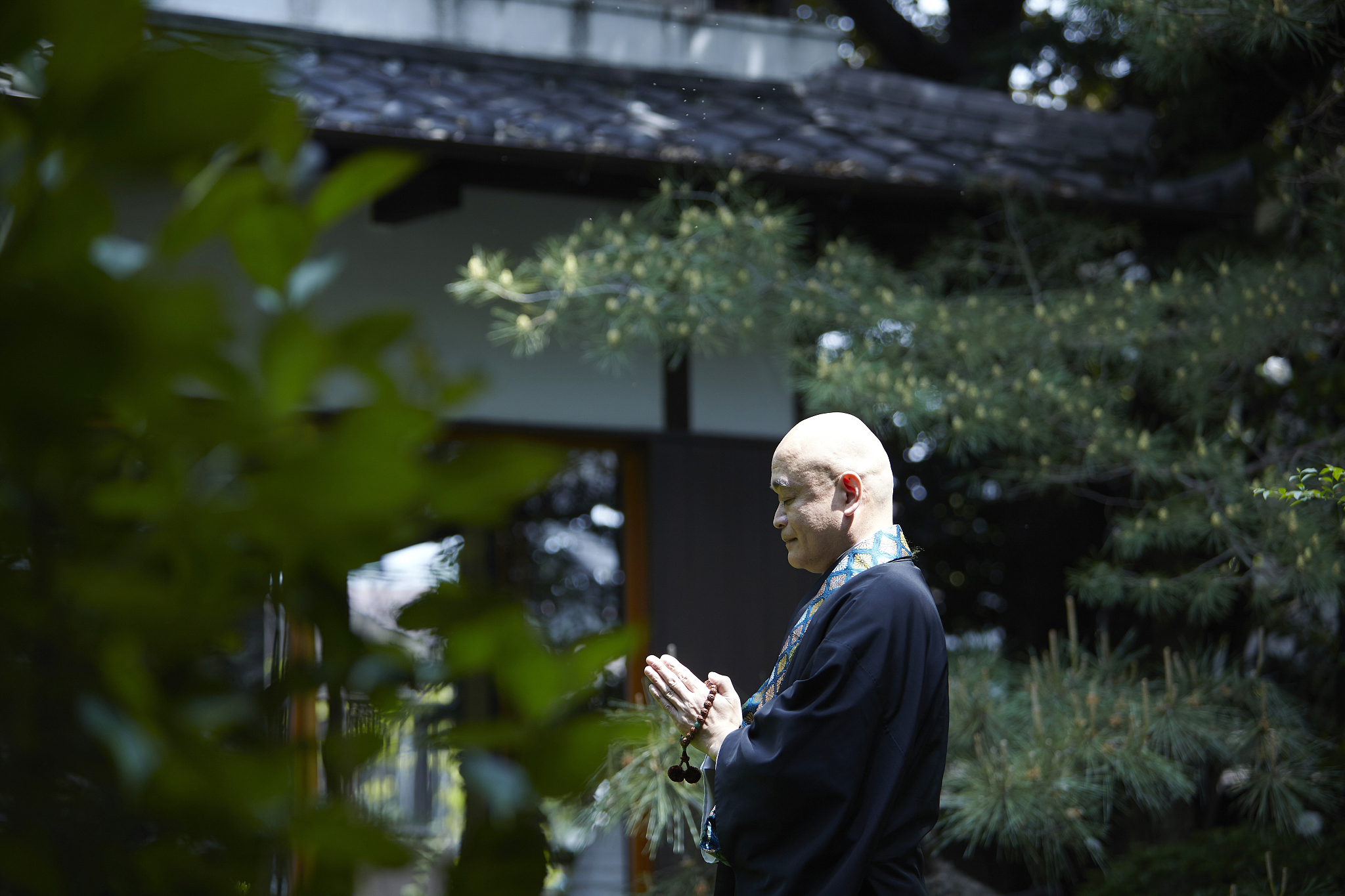 僧侣 佛教高僧 人