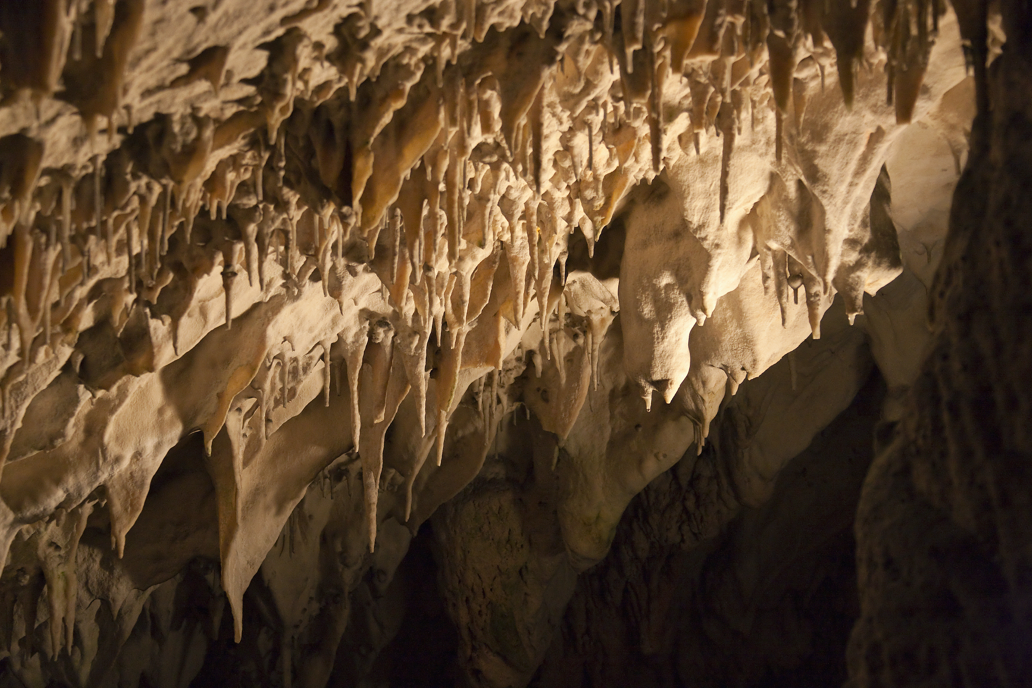 postojna cave