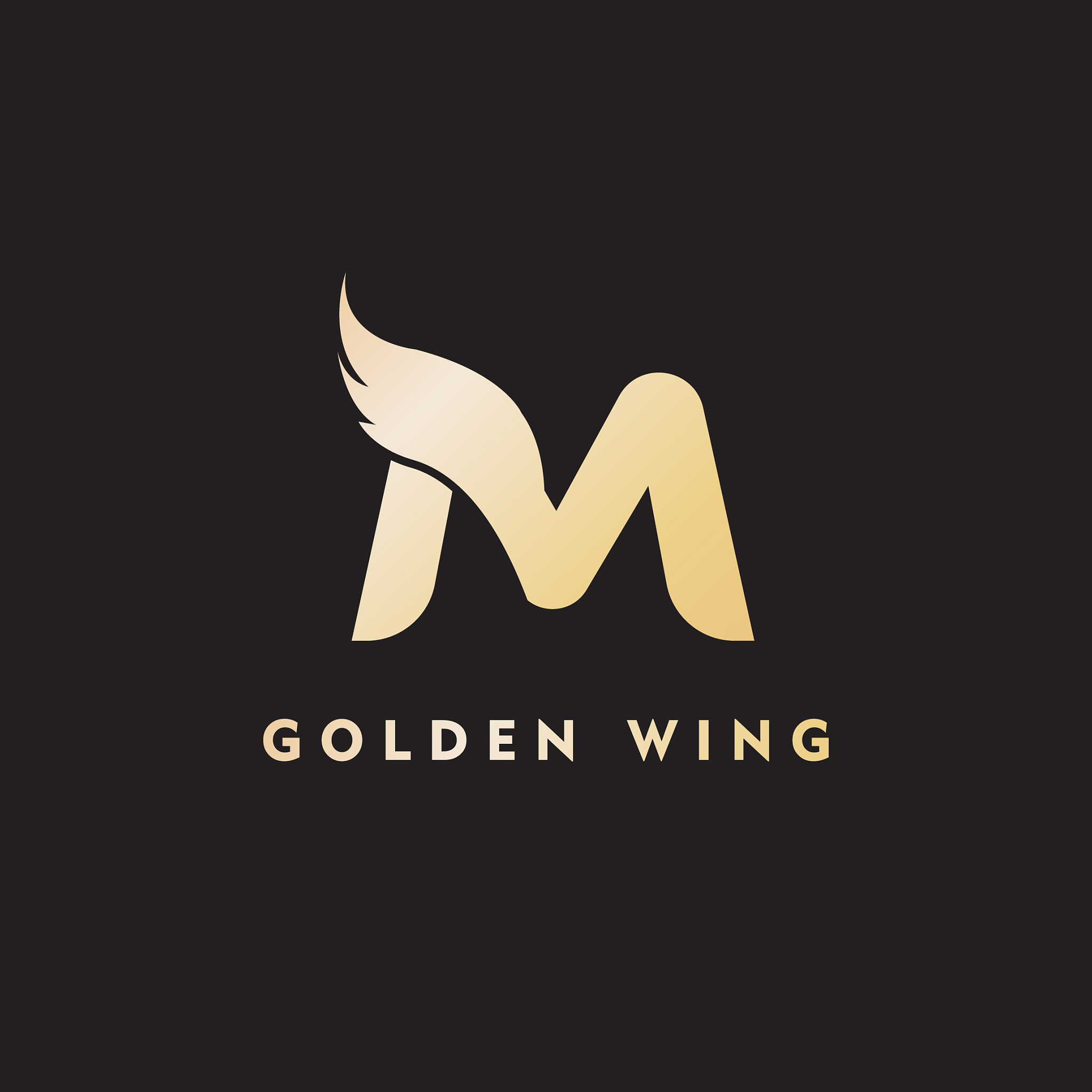 initial letter m business wing logo icon