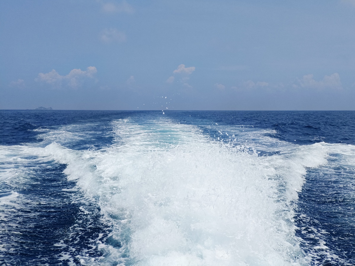 航程天气和海况查询