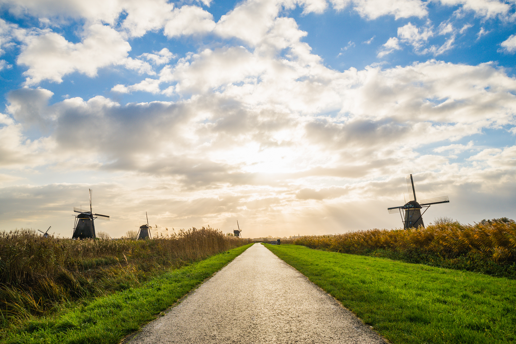 old windmills in kinderdijk at sunrise, holland, netherlands, eu