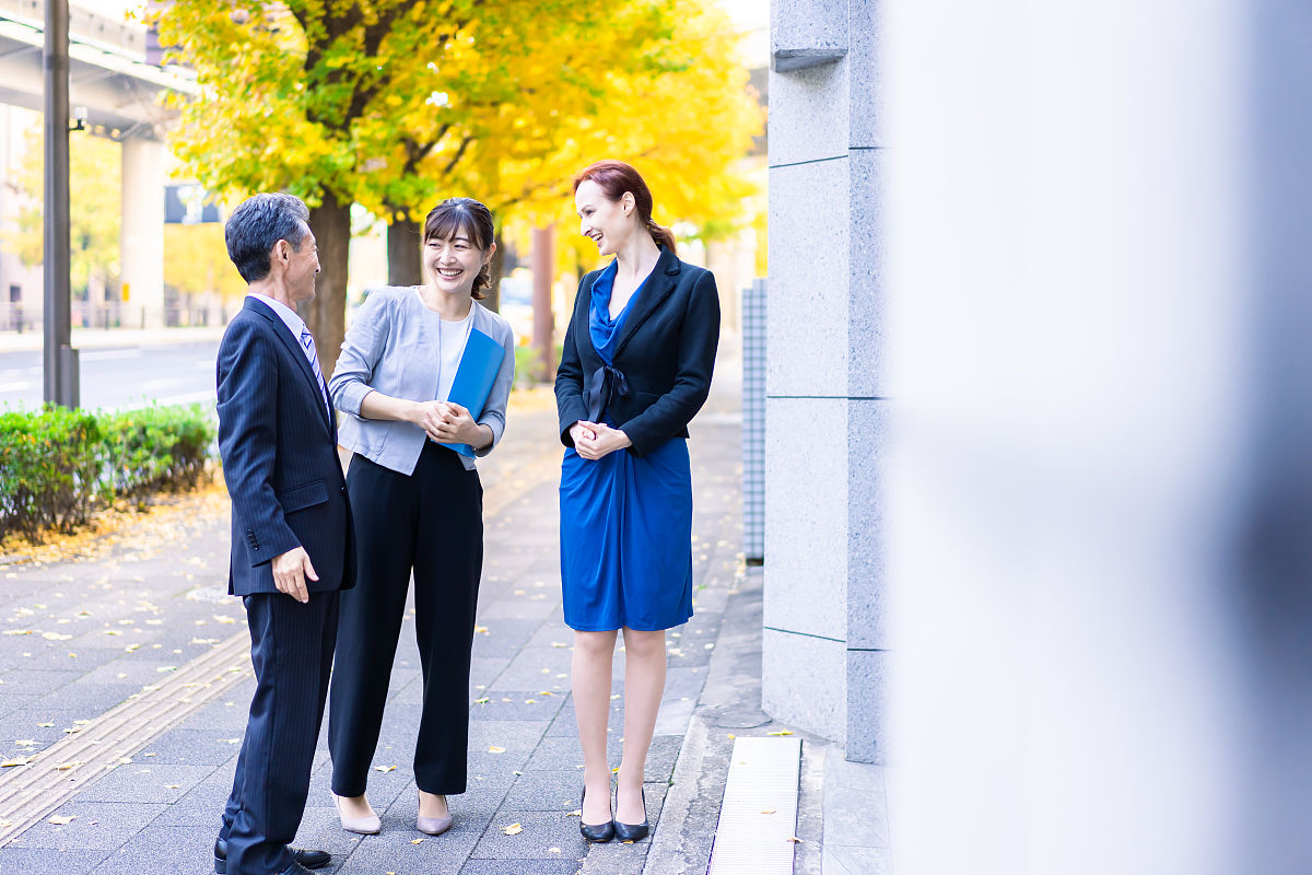 写一篇基于目的论的汽车广告翻译论文