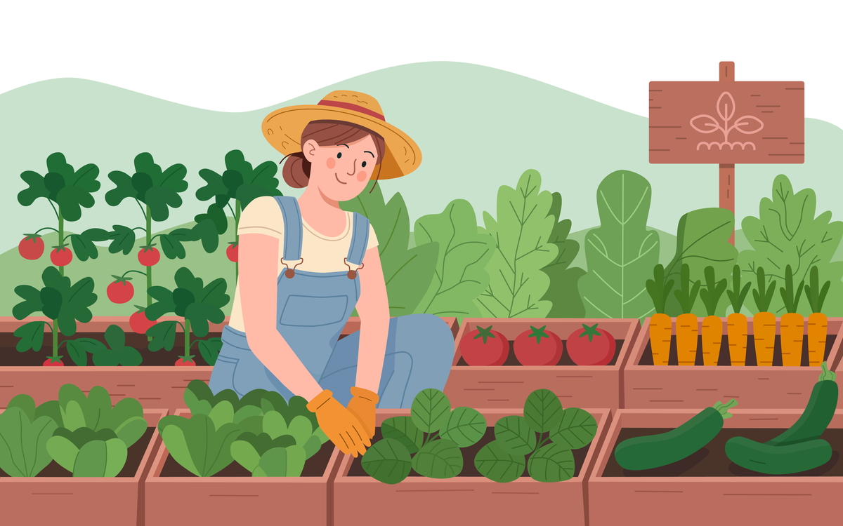 作物收获面积与种植面积的比例的名词定义