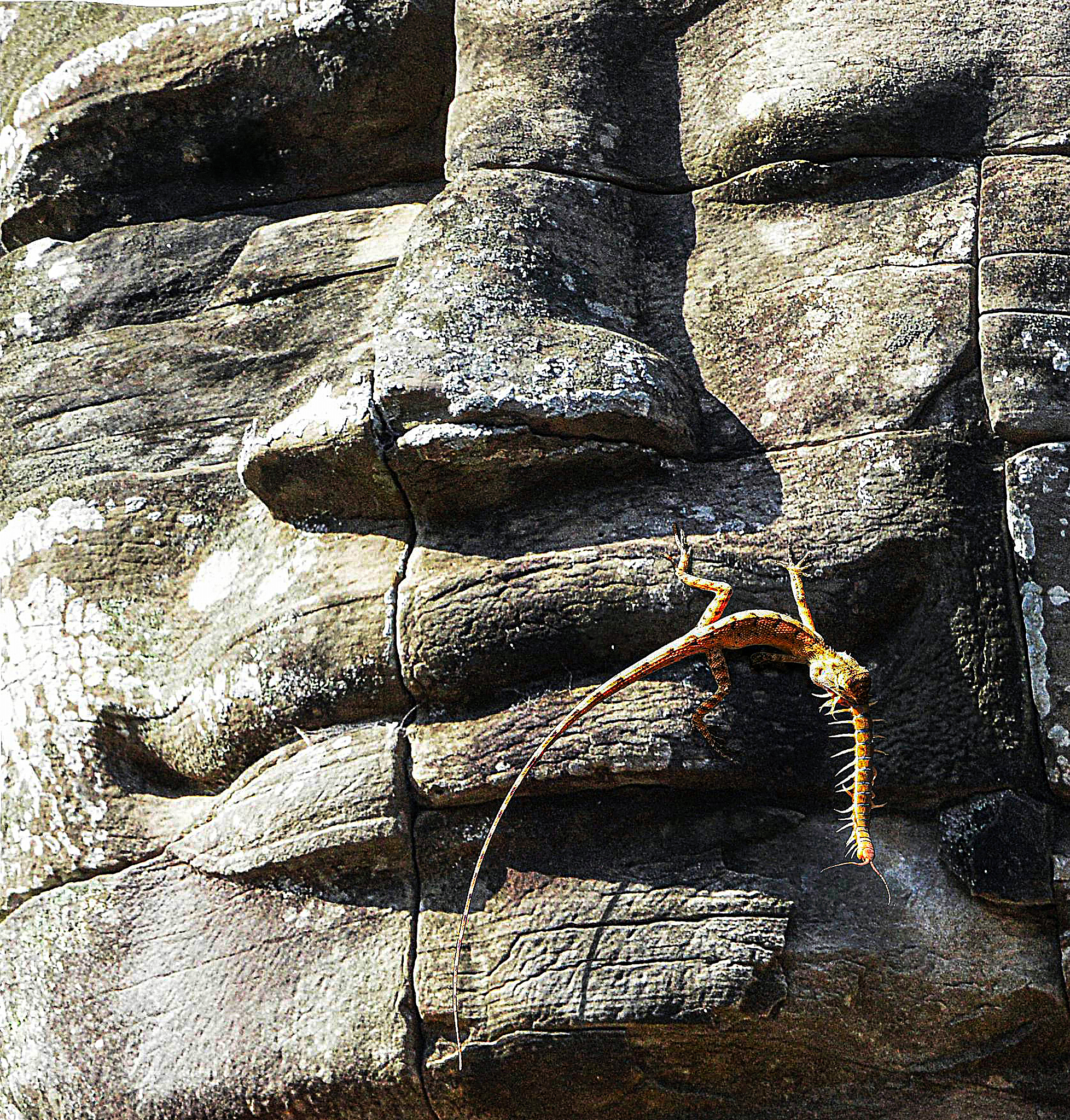 痛苦作品的魅力：引发共鸣，触动心灵